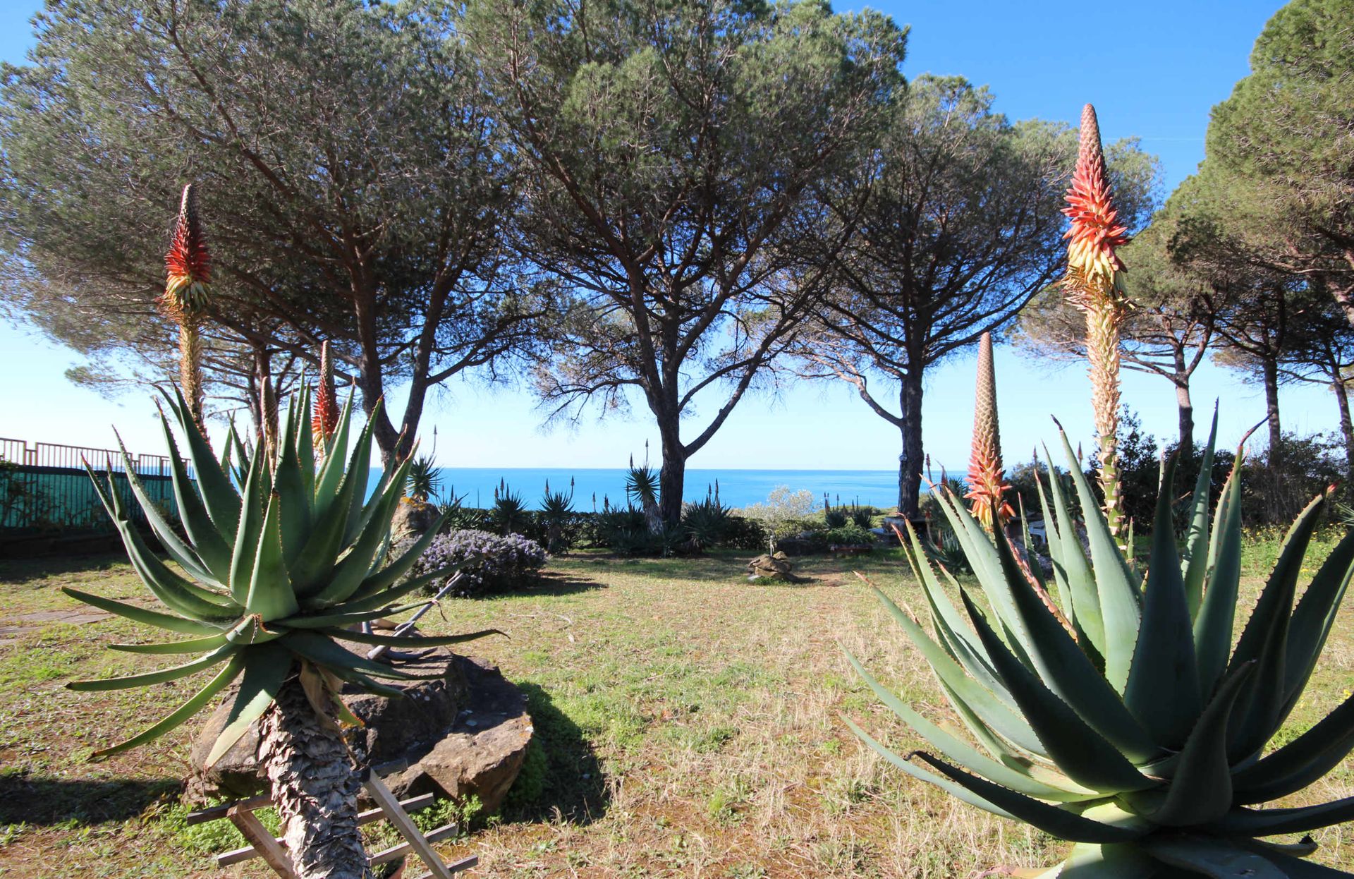 Talo sisään Castiglione della Pescaia, Tuscany 11057938