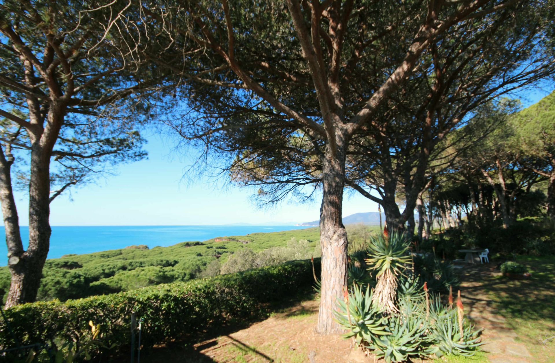 Talo sisään Castiglione della Pescaia, Tuscany 11057938