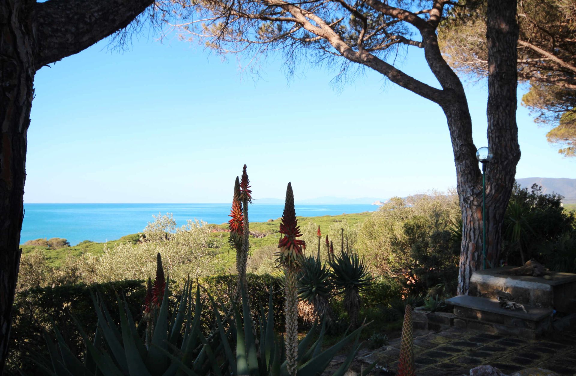 Talo sisään Castiglione della Pescaia, Tuscany 11057938