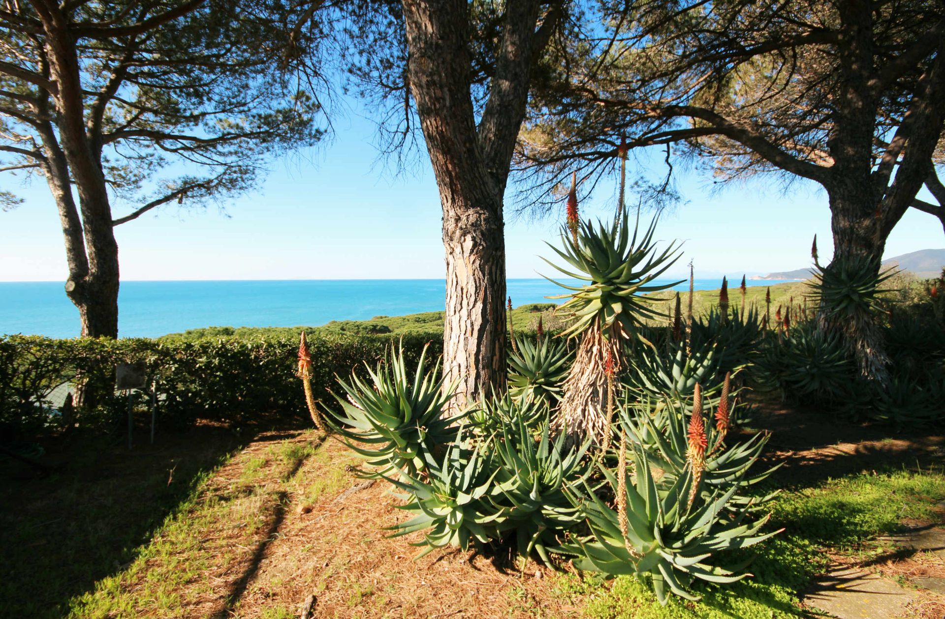 Huis in Castiglione della Pescaia, Tuscany 11057939