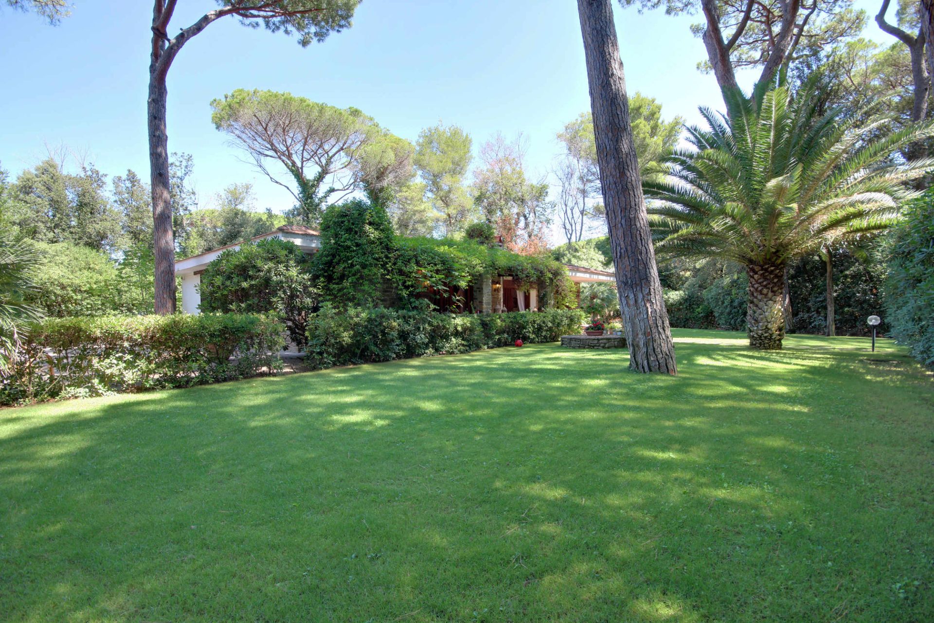 House in Castiglione della Pescaia, Tuscany 11057940