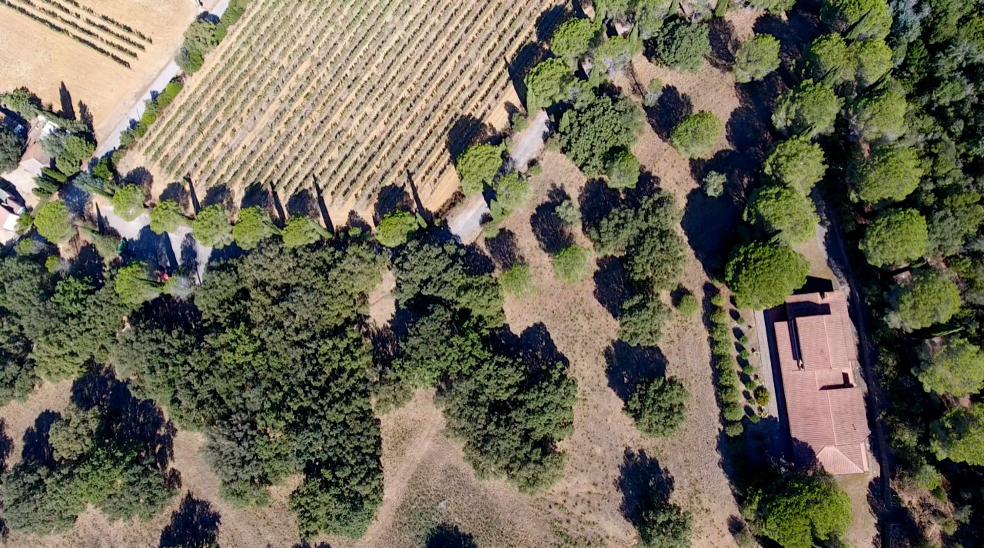 בַּיִת ב Castiglione della Pescaia, Tuscany 11057942