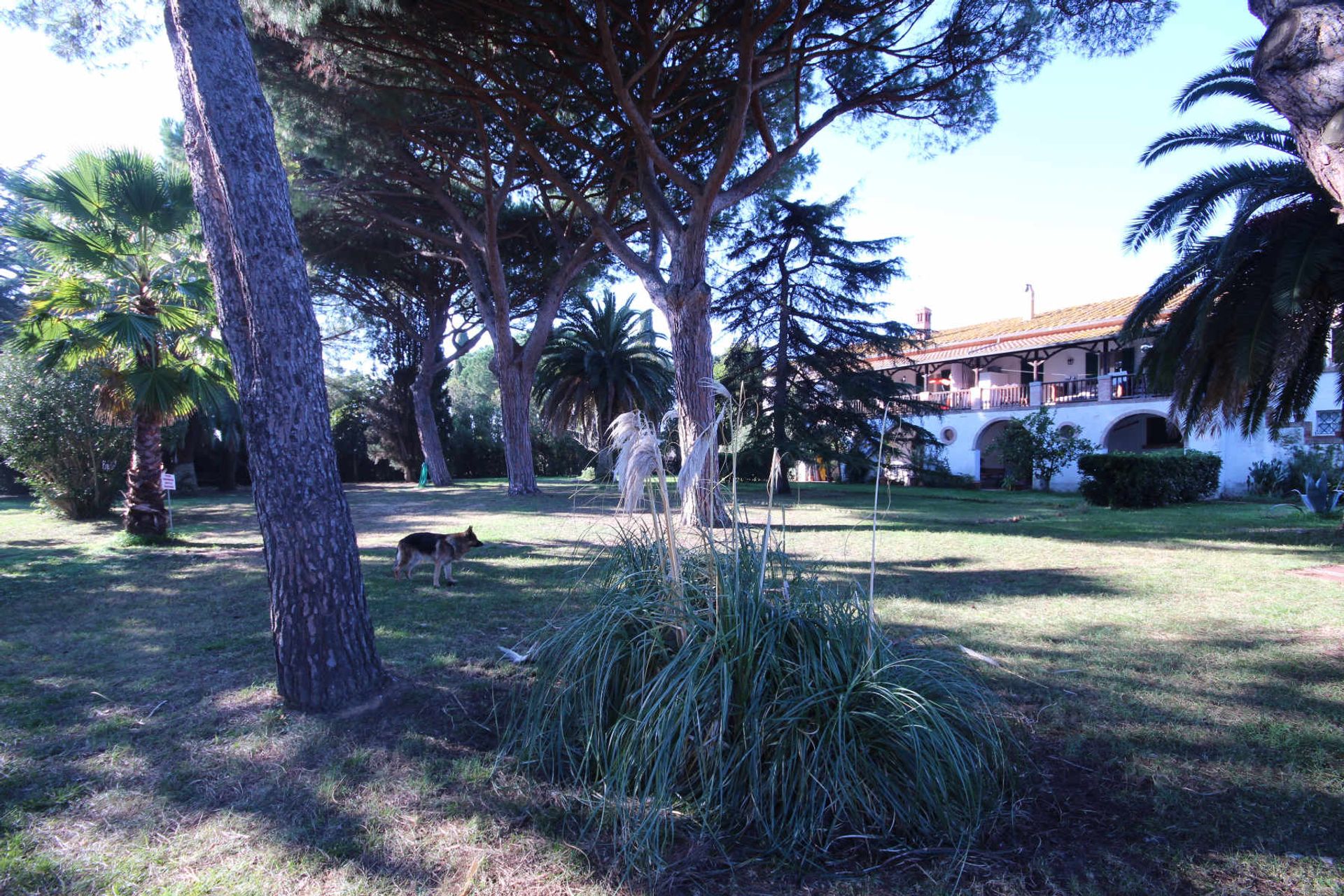 casa no Castiglione della Pescaia, Tuscany 11057944