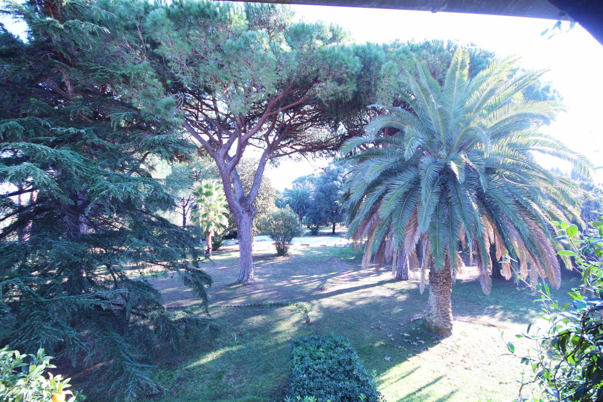 Haus im Castiglione della Pescaia, Tuscany 11057944