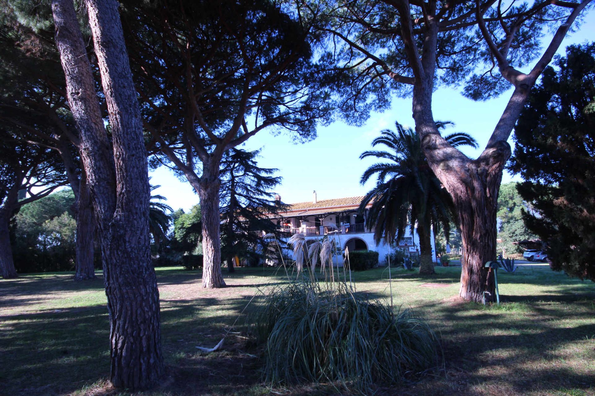 Dom w Castiglione della Pescaia, Tuscany 11057944