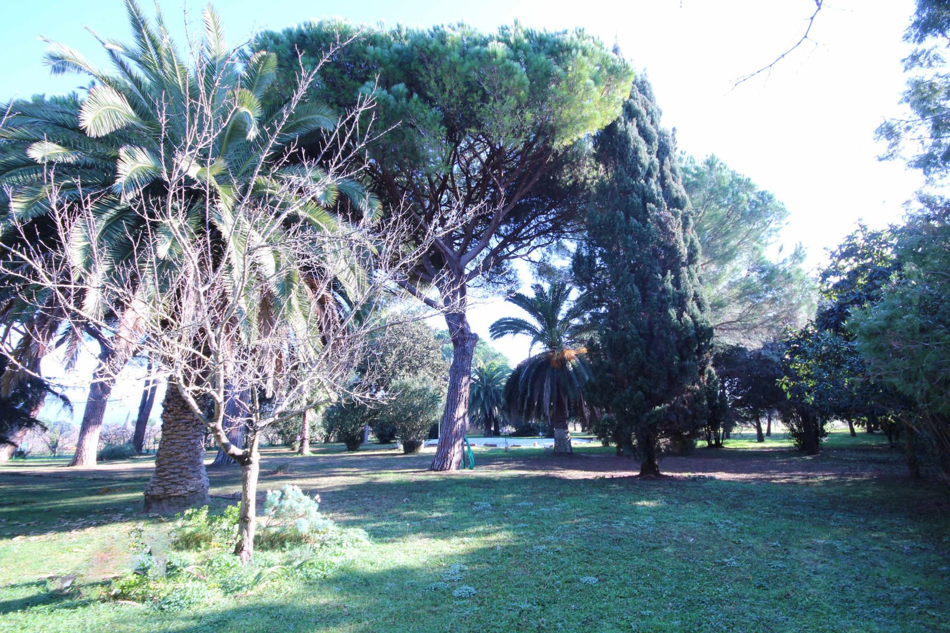 房子 在 Castiglione della Pescaia, Tuscany 11057944