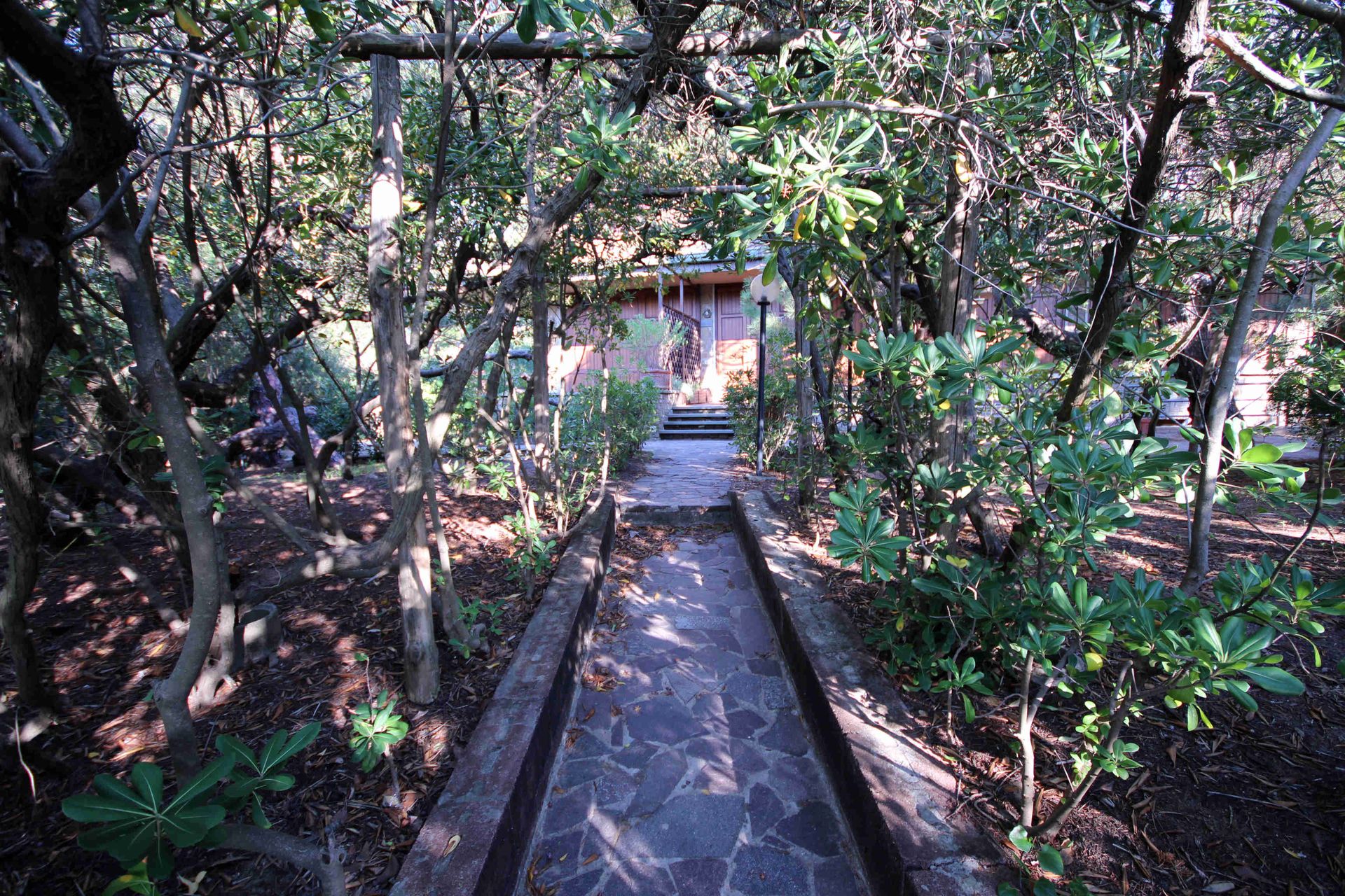 Casa nel Castiglione della Pescaia, Tuscany 11057948