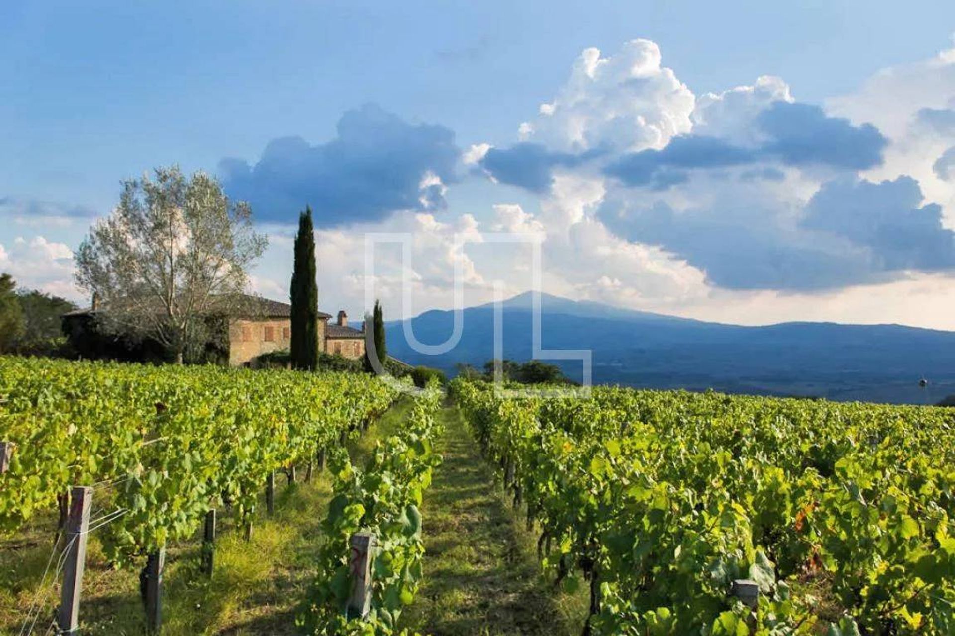 Будинок в Montalcino, Toscana 11058069