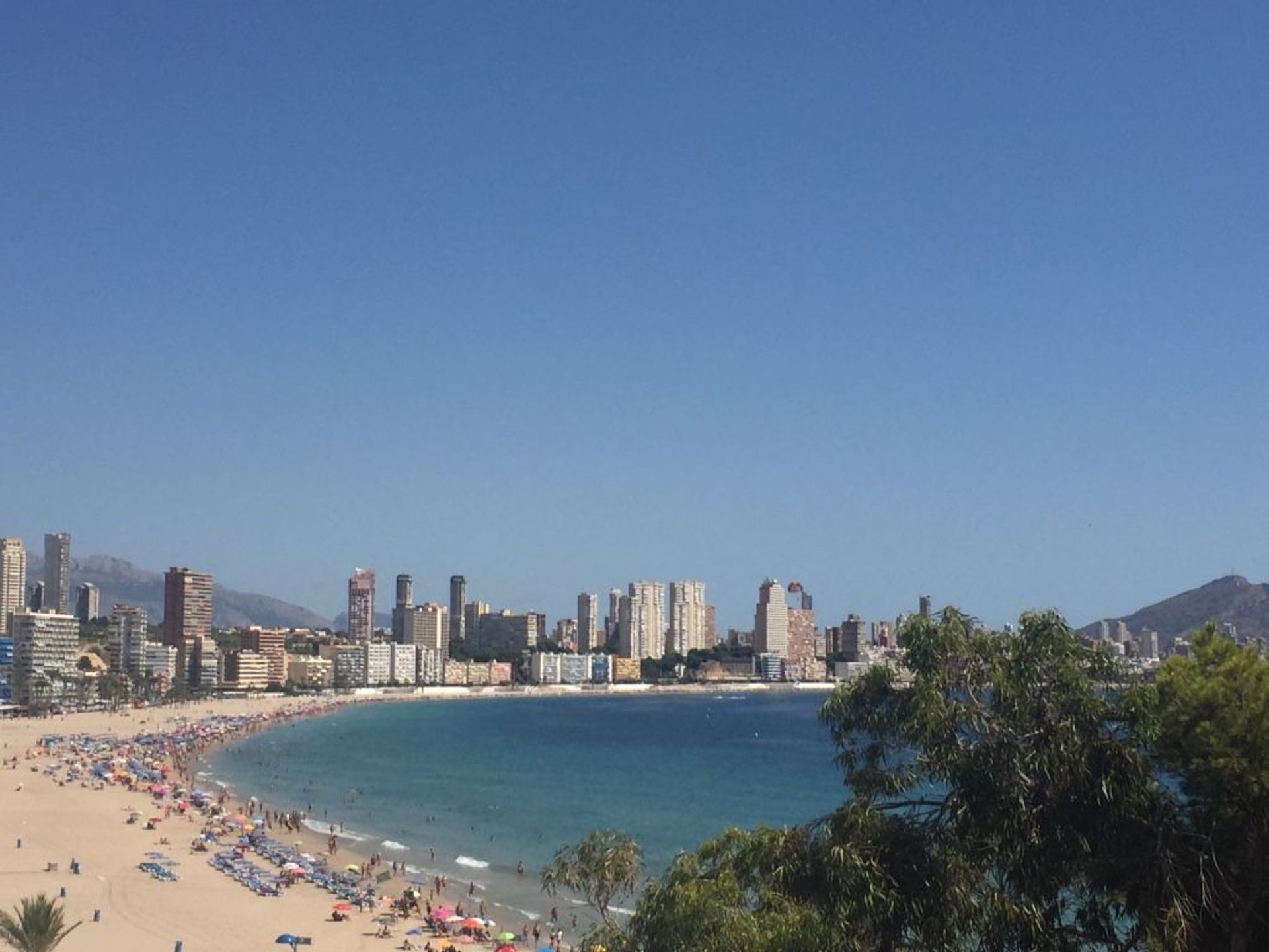 Annen i Benidorm, Valencian Community 11061071