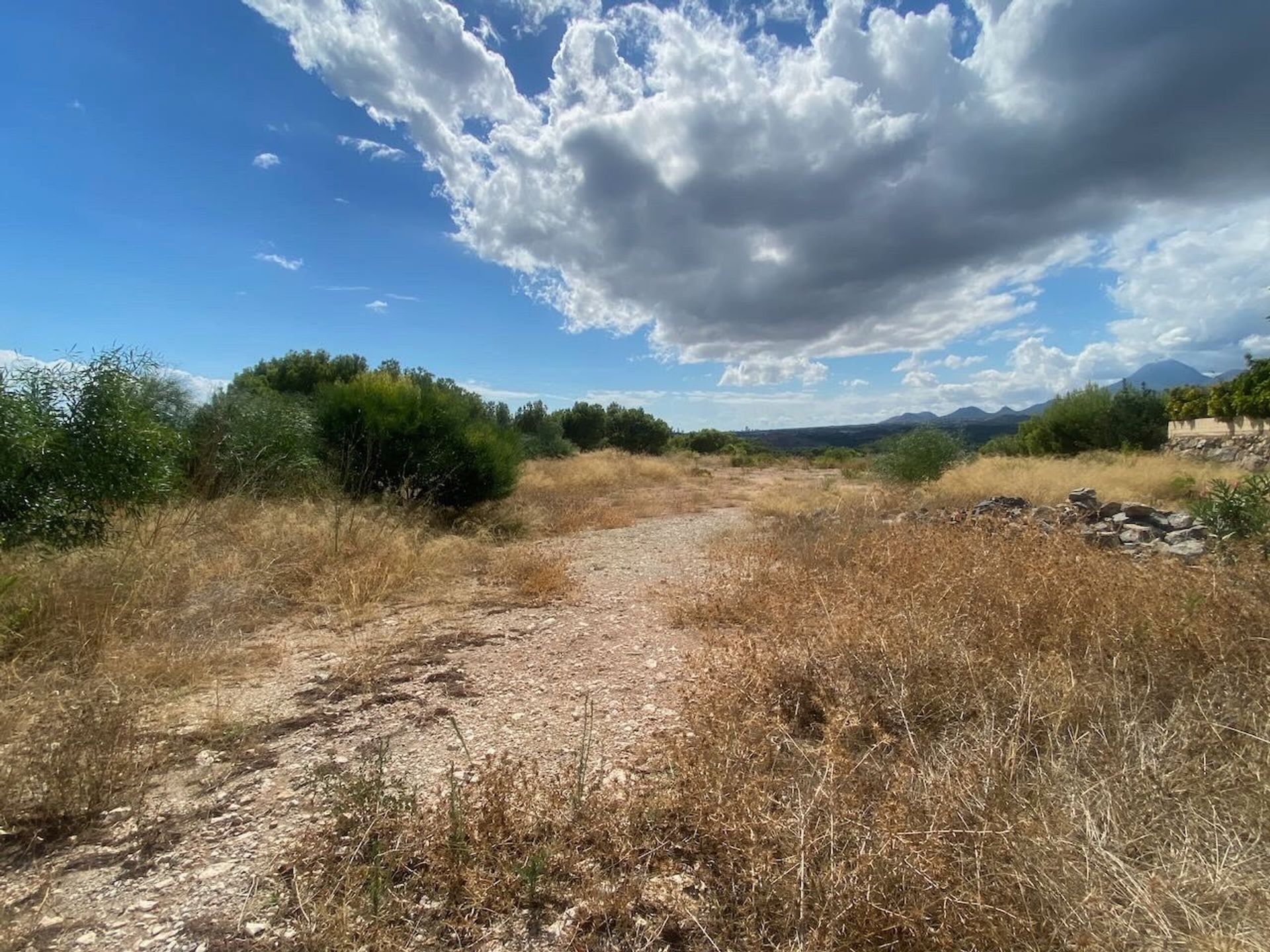 Annen i Llano del Castillo, Valencia 11061141