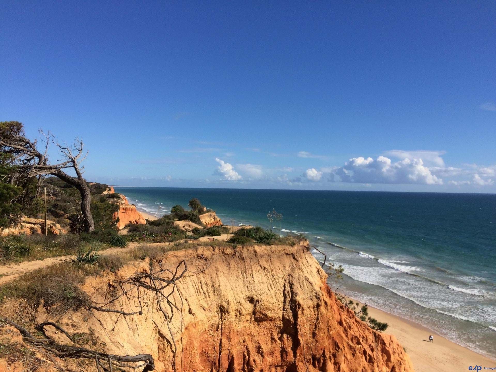 土地 在 Loulé, Faro District 11061362