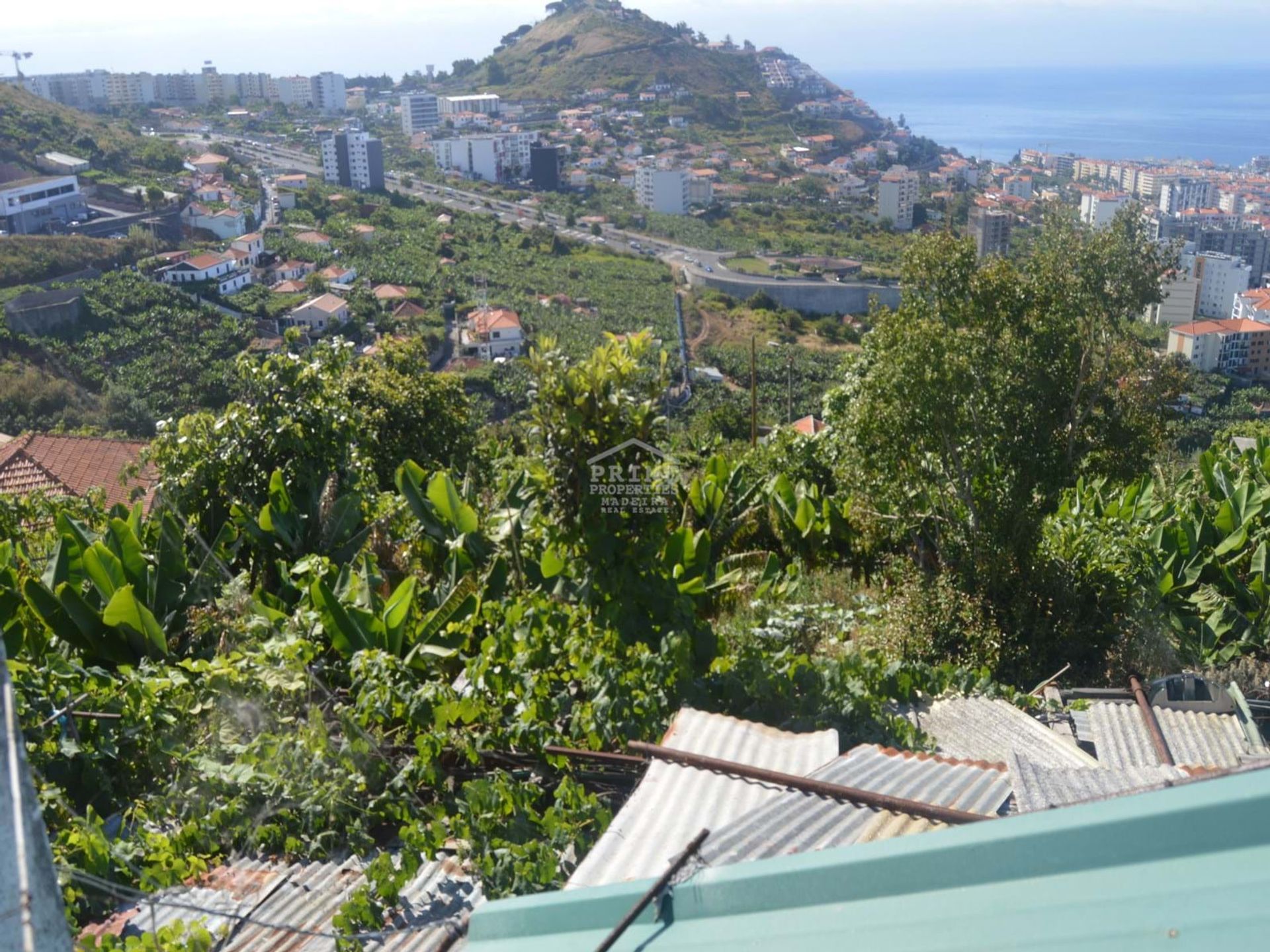 Γη σε Σάντο Αντόνιο, Μαδέρα 11062233