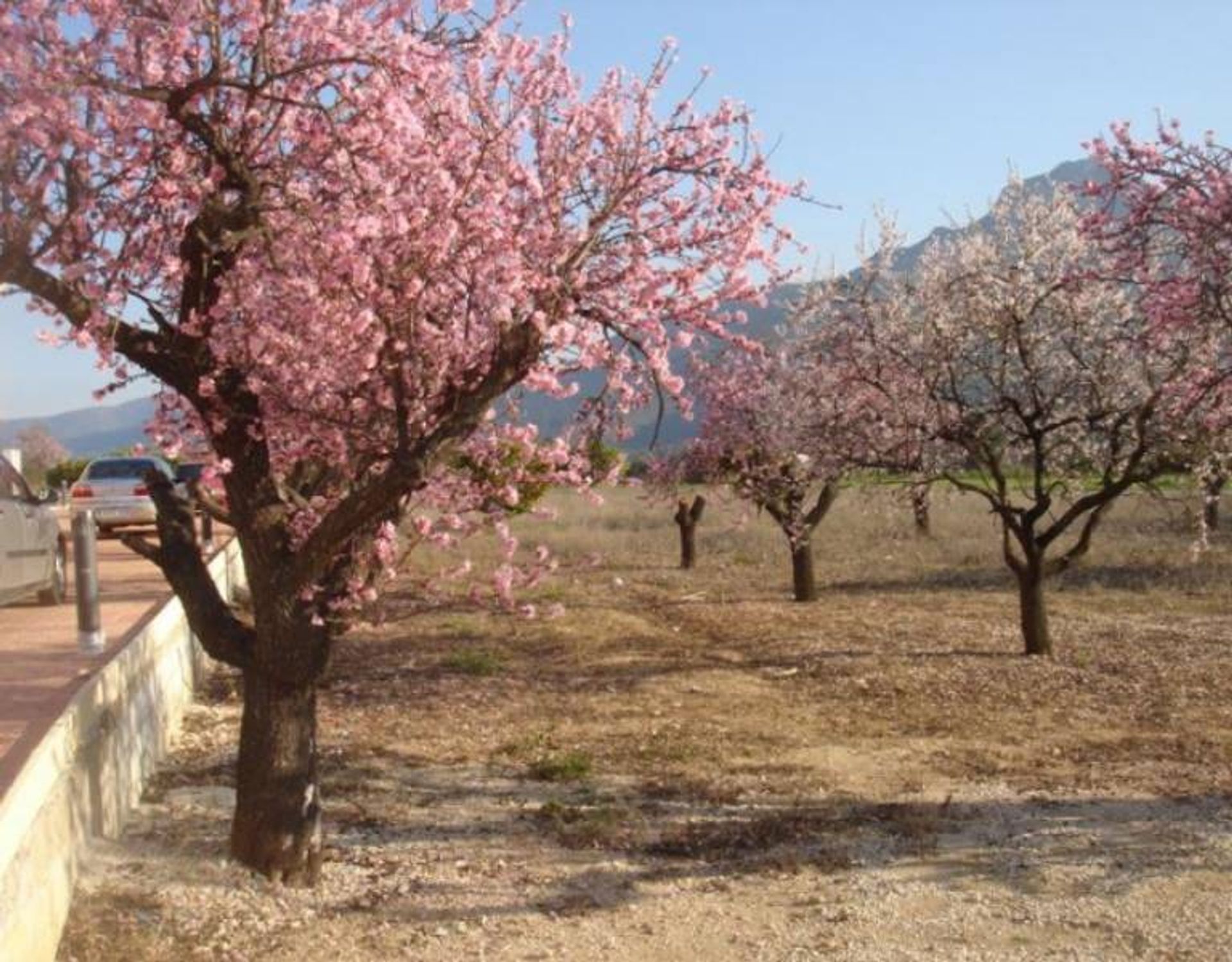 Land in Parcent, Valencian Community 11062339