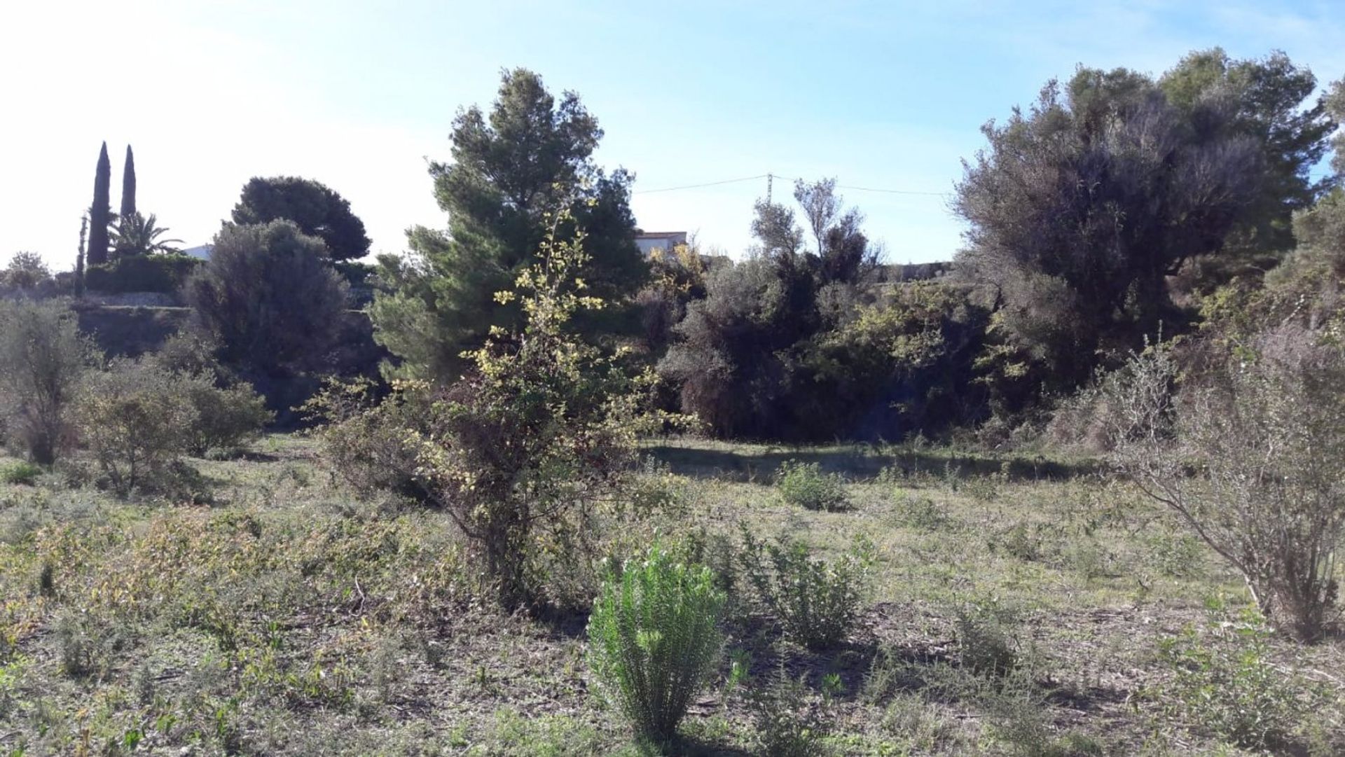 Land im Moraira, Valencian Community 11062408