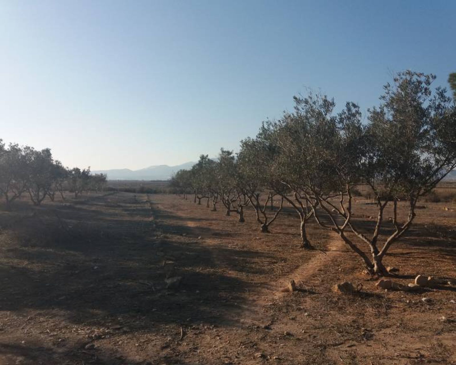 жилой дом в Alhama de Murcia, Región de Murcia 11062482