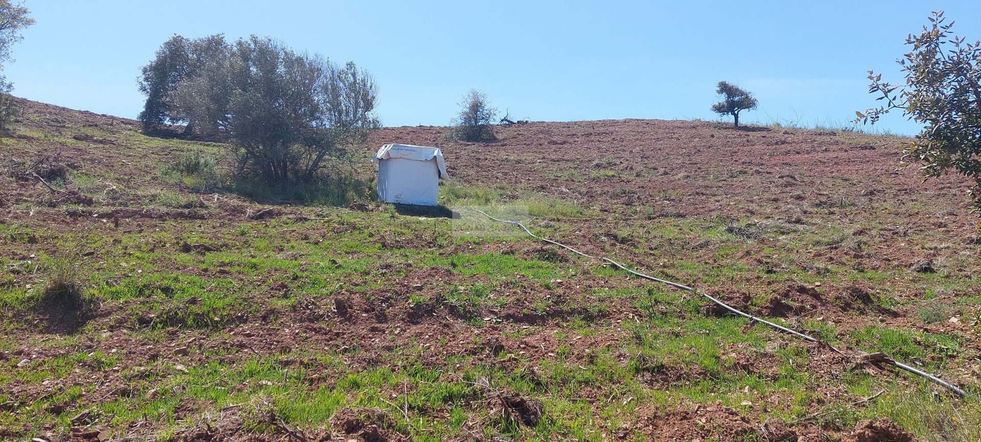 الأرض في Vila do Bispo, Faro District 11062588