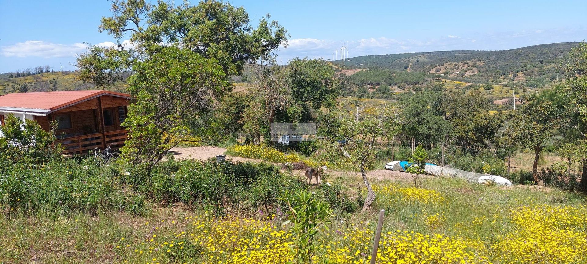 Γη σε Vila do Bispo, Faro District 11062588