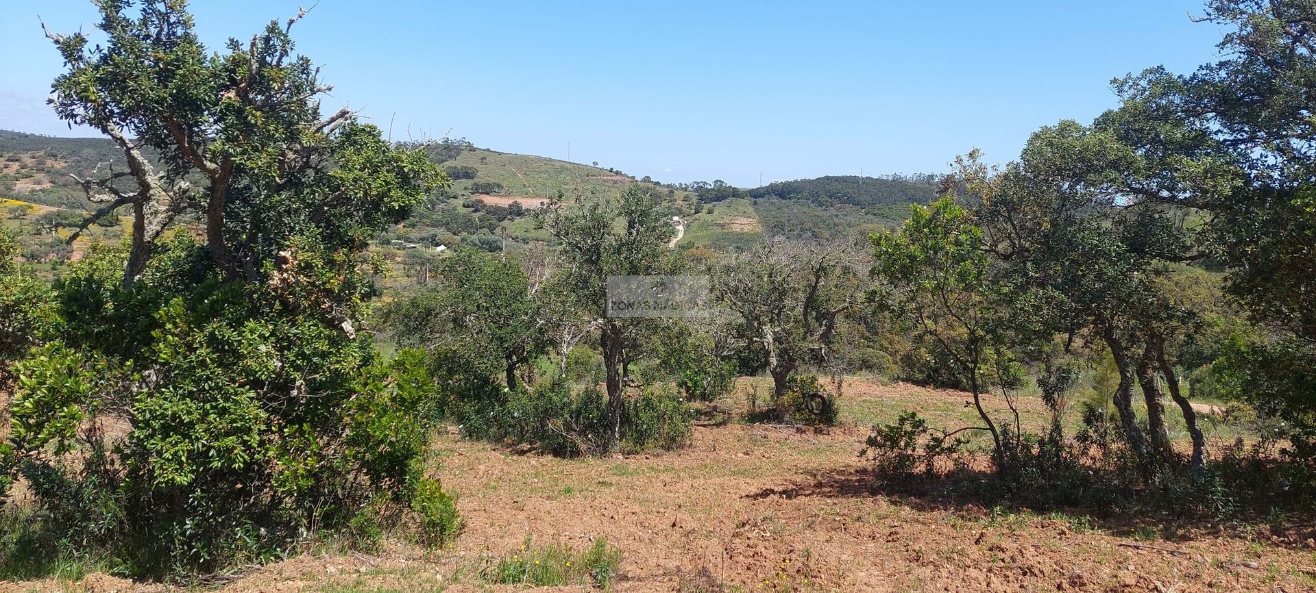 Land im Vila do Bispo, Faro District 11062588