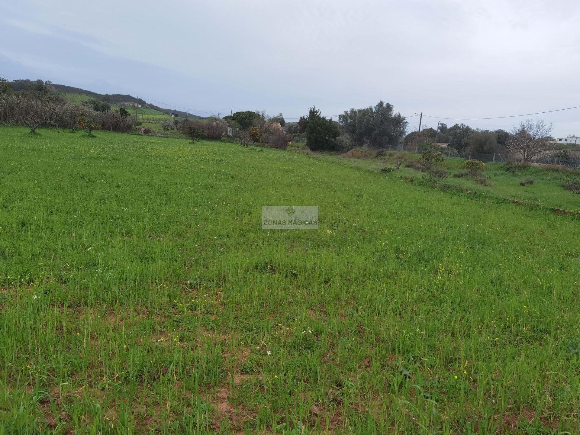 Land i Lagos, Faro District 11062590