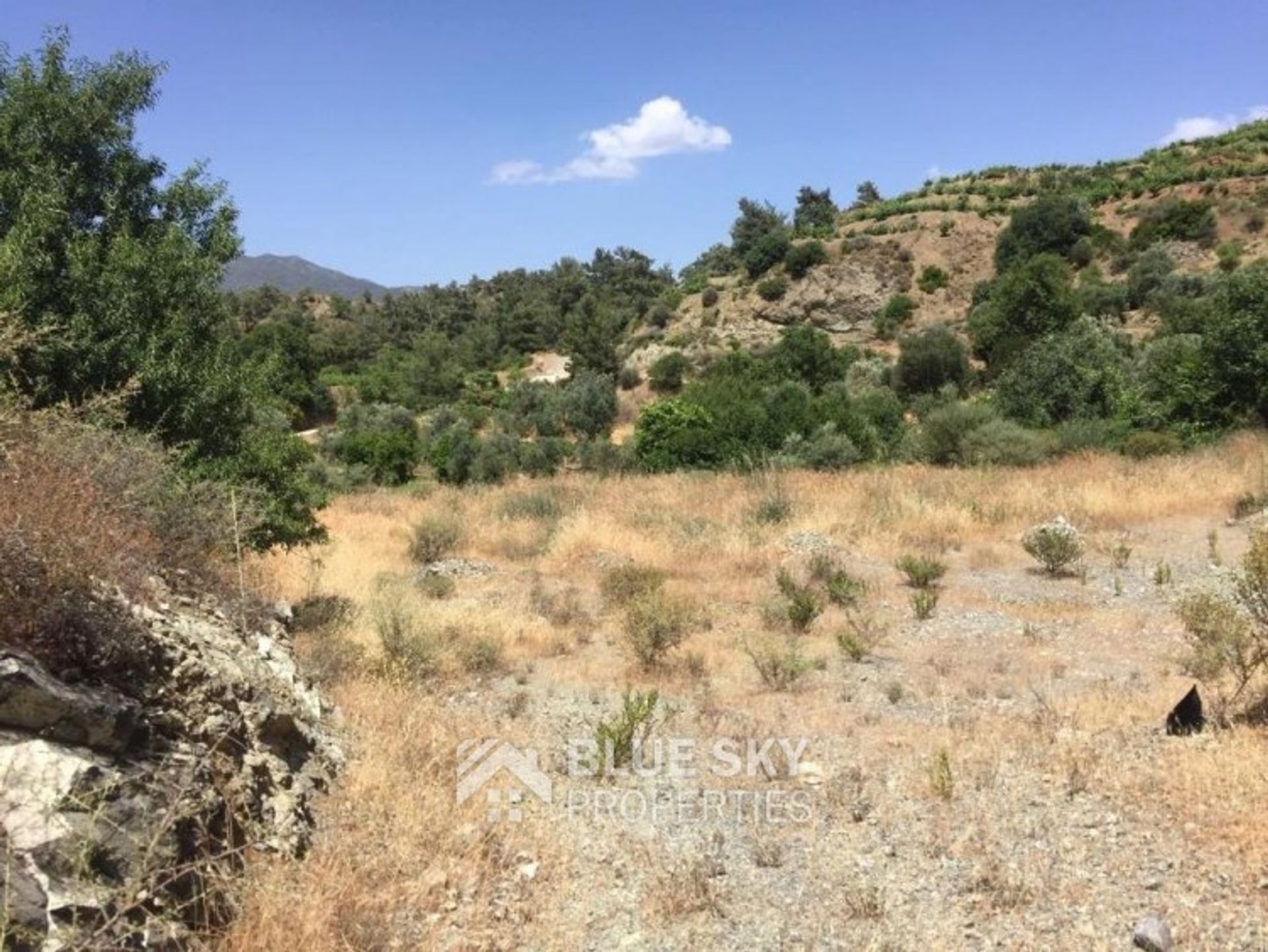 Land in Palodeia, Lemesos 11062832