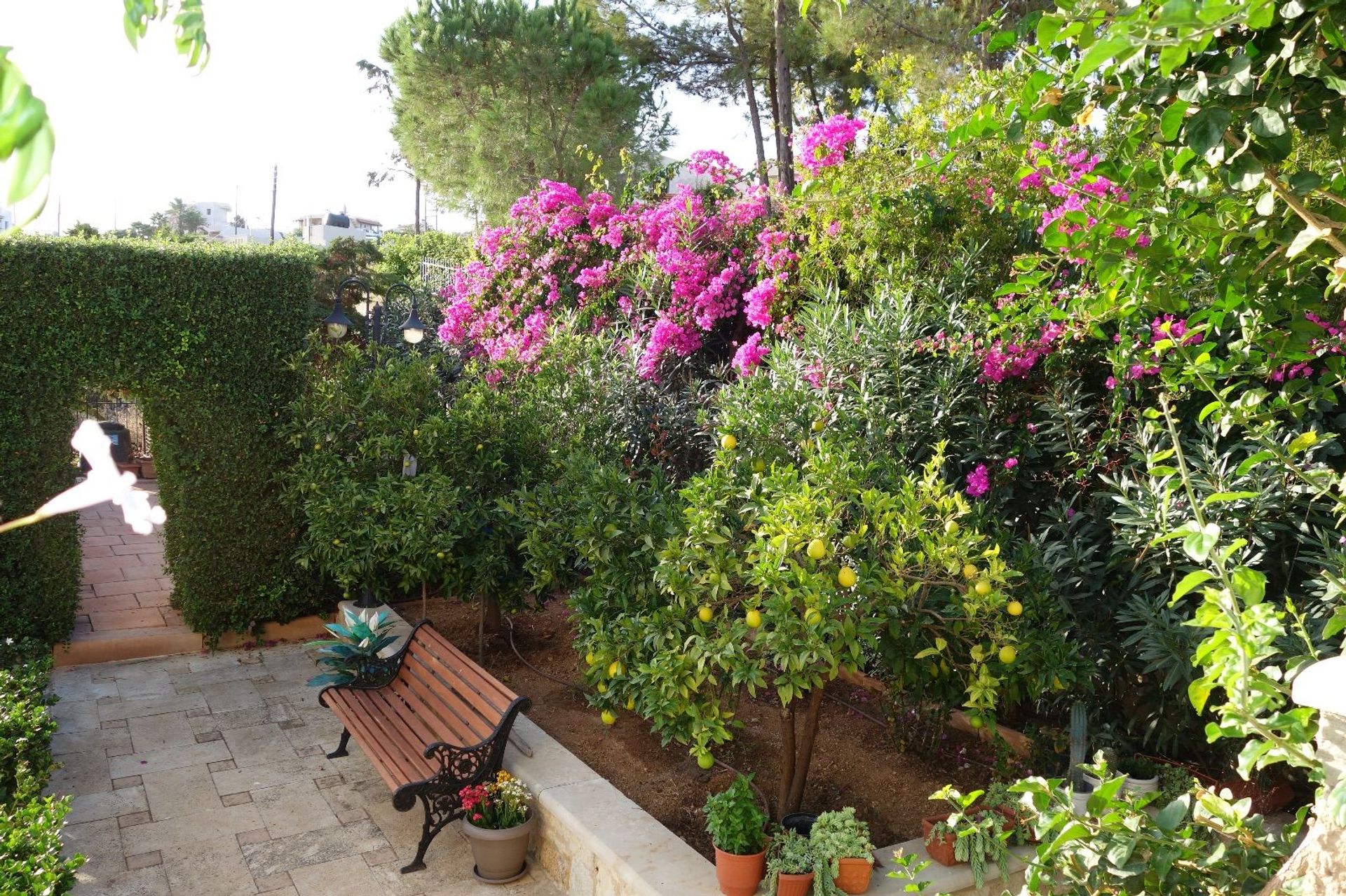 Casa nel Heraklion,  11063245