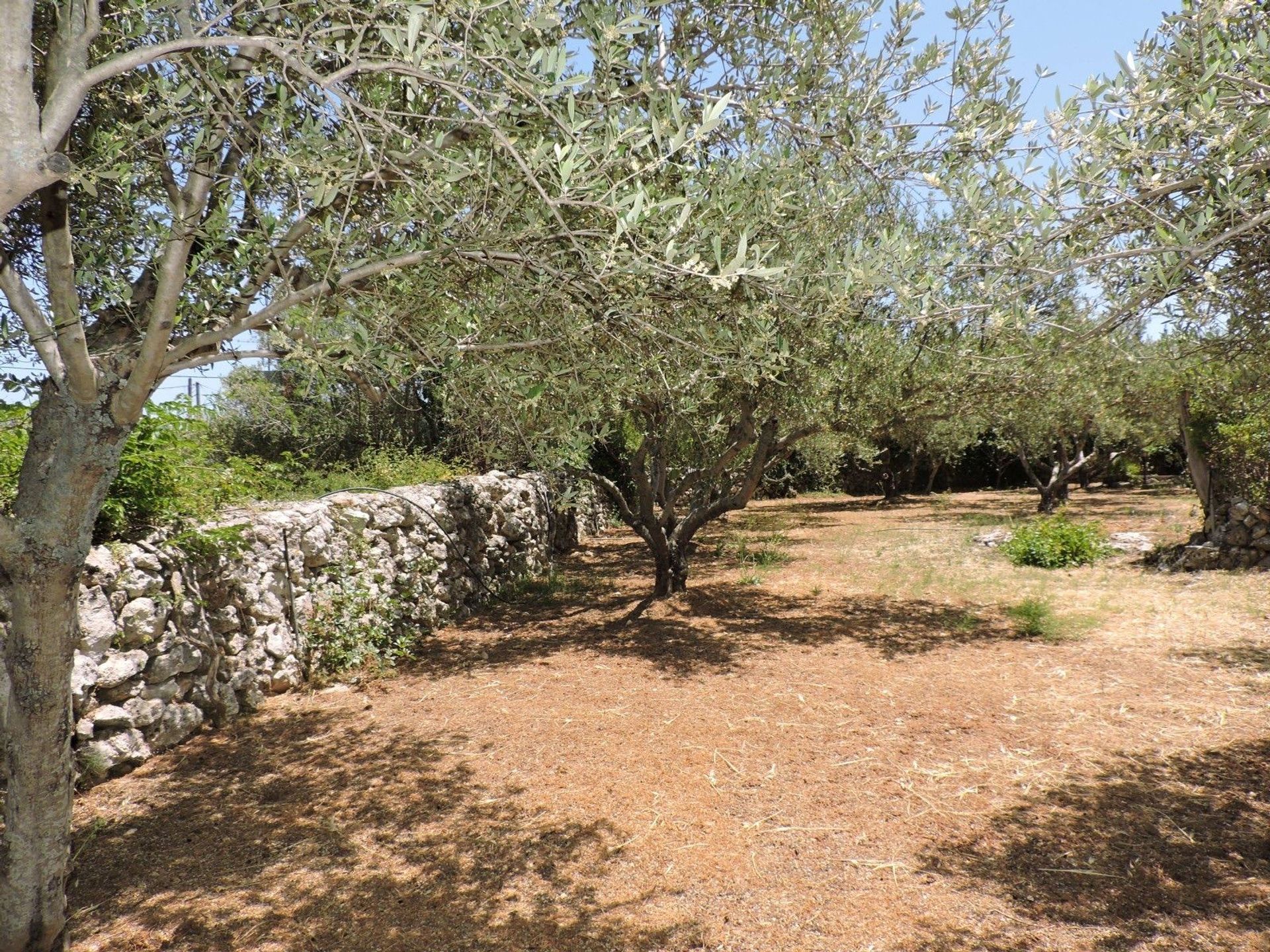 rumah dalam Chania,  11063255