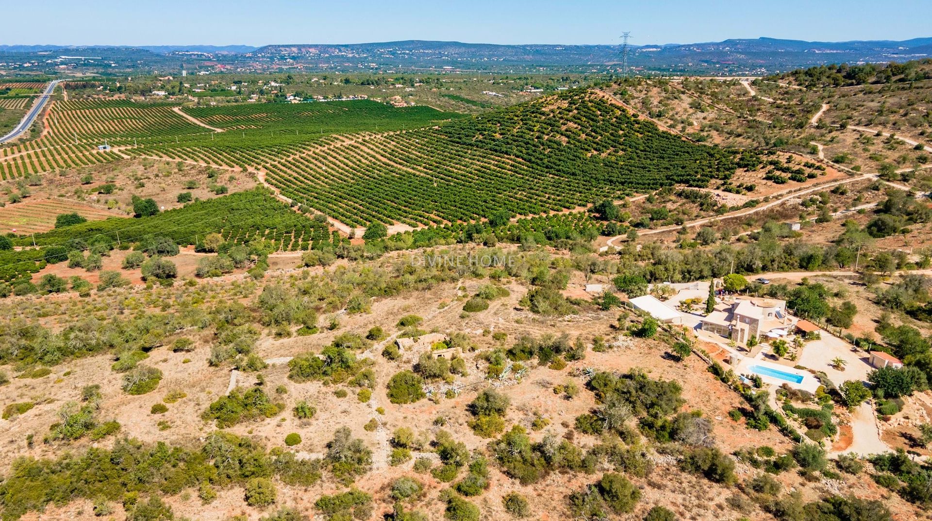 ארץ ב , Faro 11063308