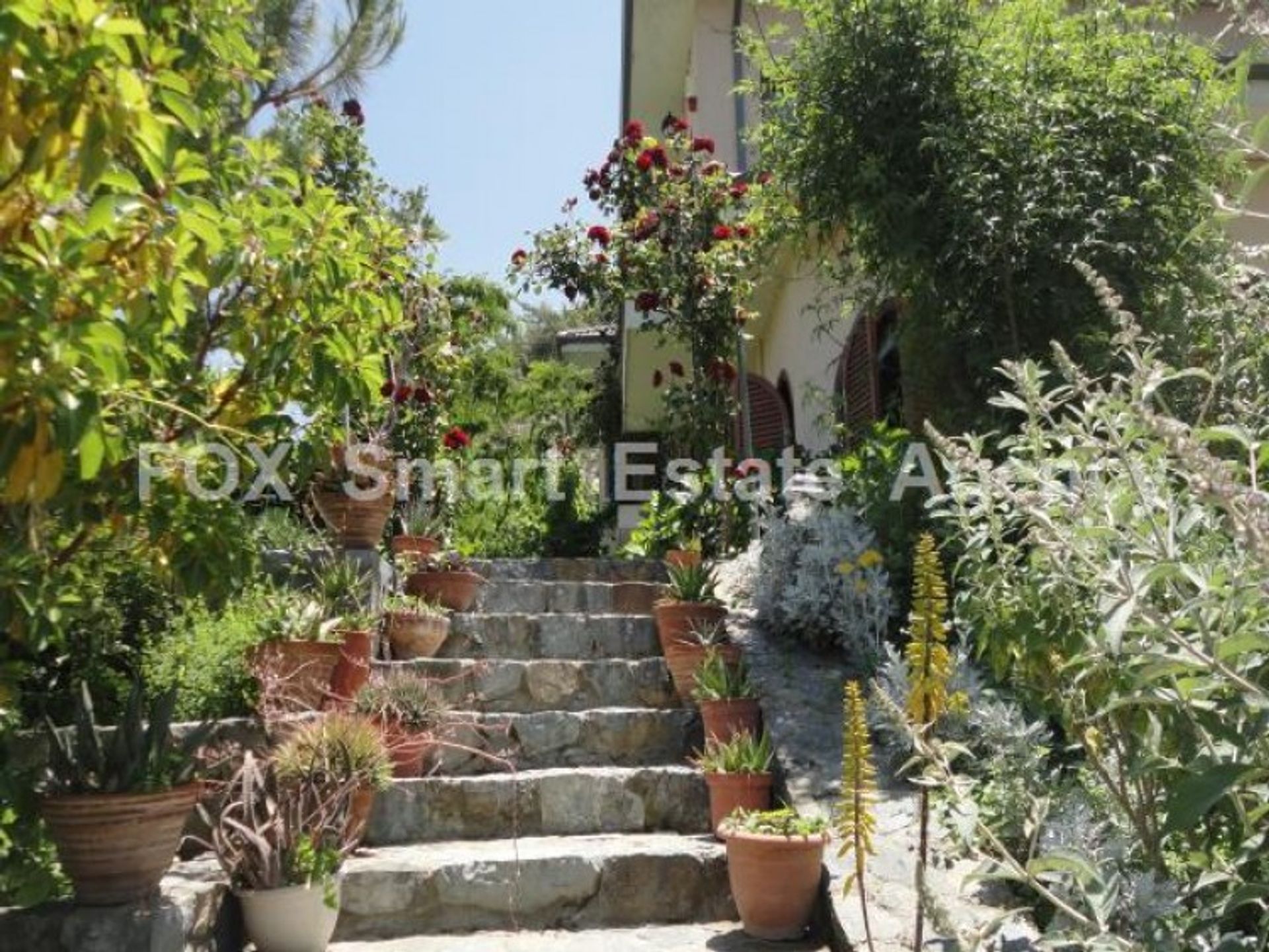 Rumah di Pera Pedi, Limassol 11063351