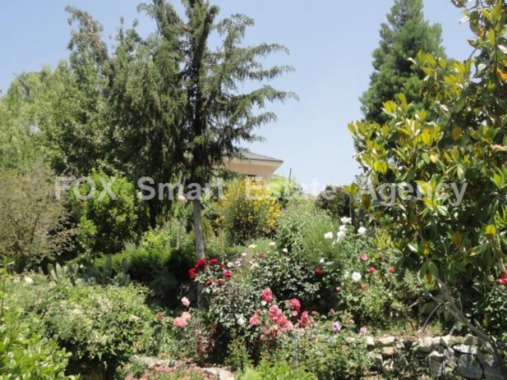 Rumah di Pera Pedi, Limassol 11063351