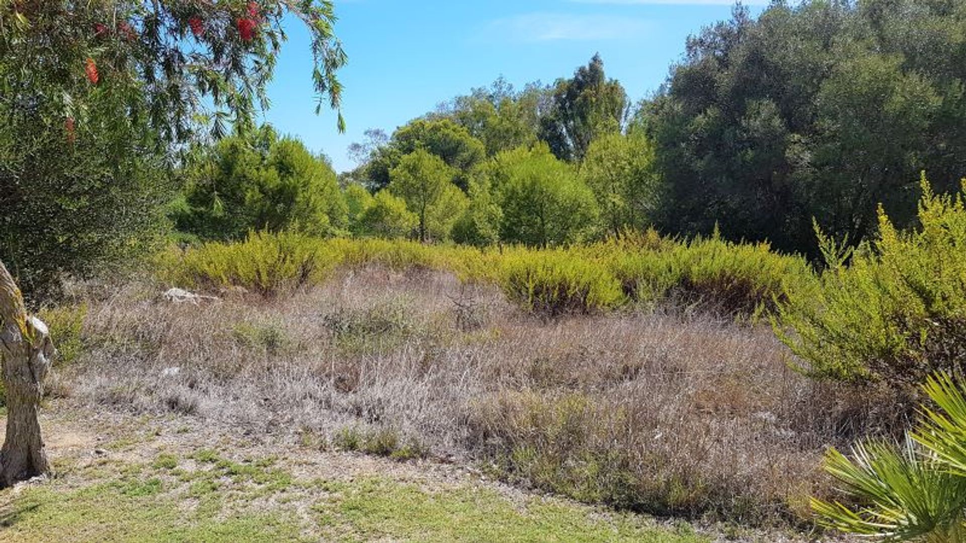 Wylądować w Guadiaro, Andaluzja 11063474