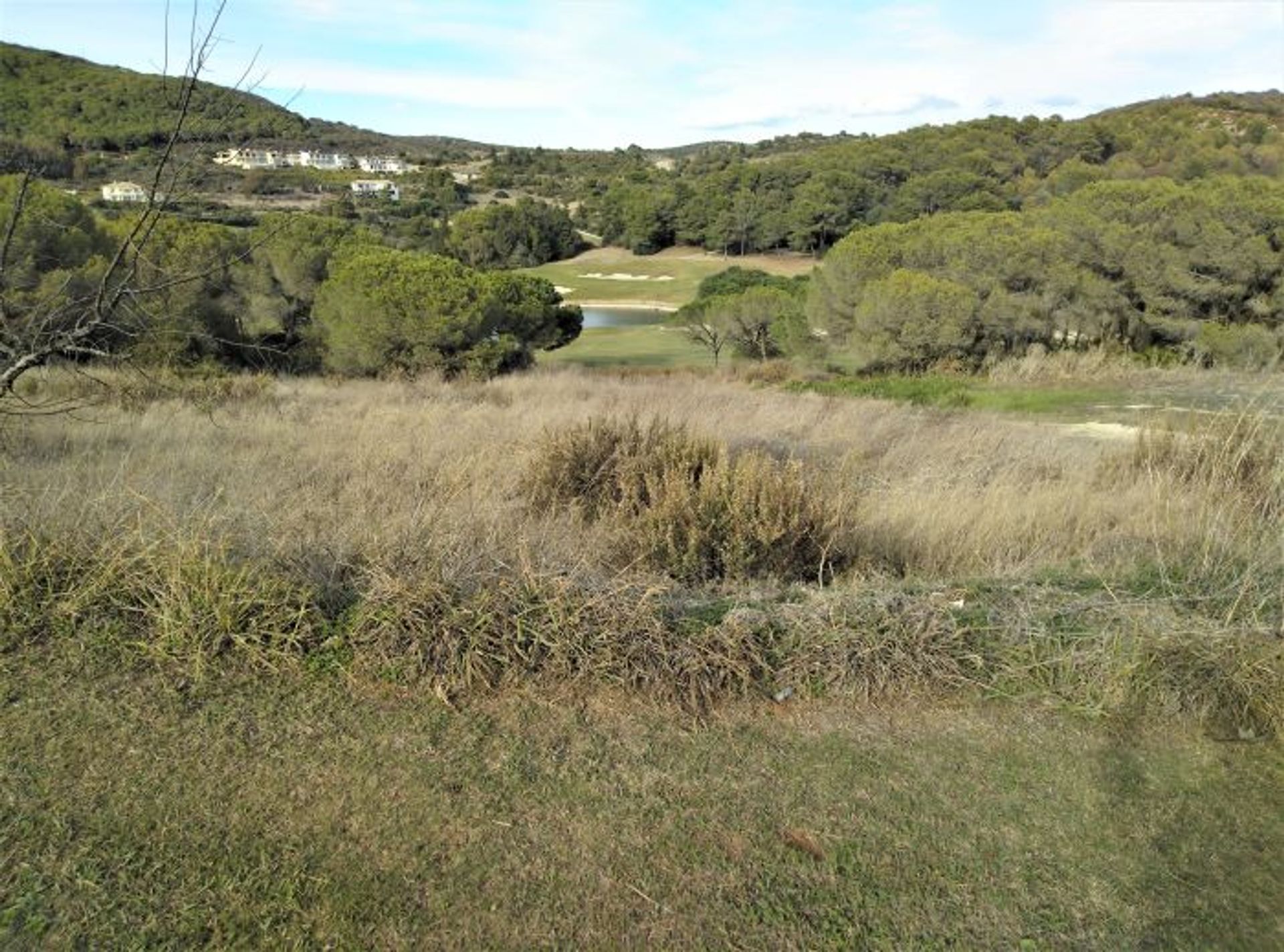 Maa sisään Guadiaro, Andalusia 11063488