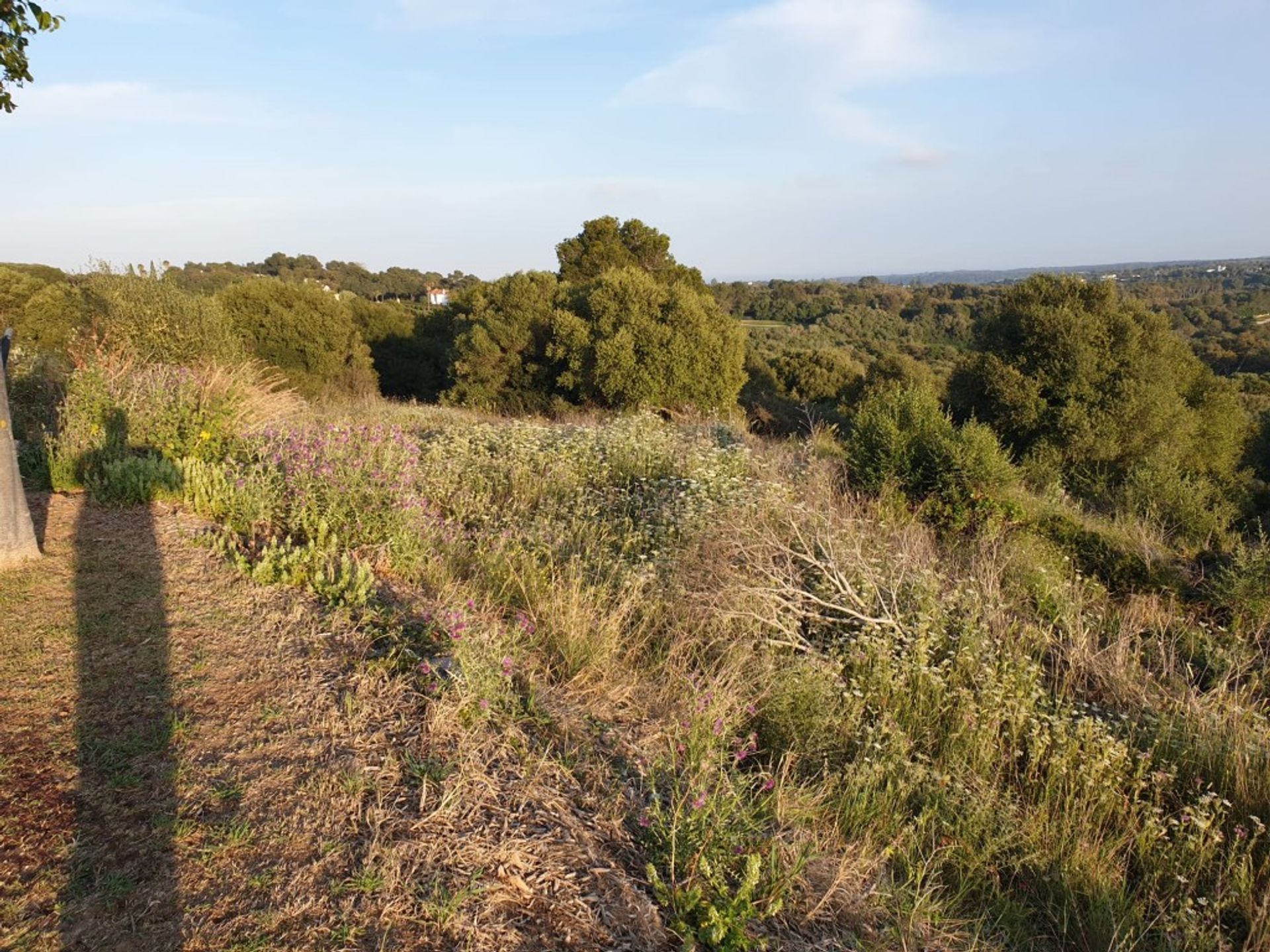 loger dans Sotogrande, Andalusia 11063520