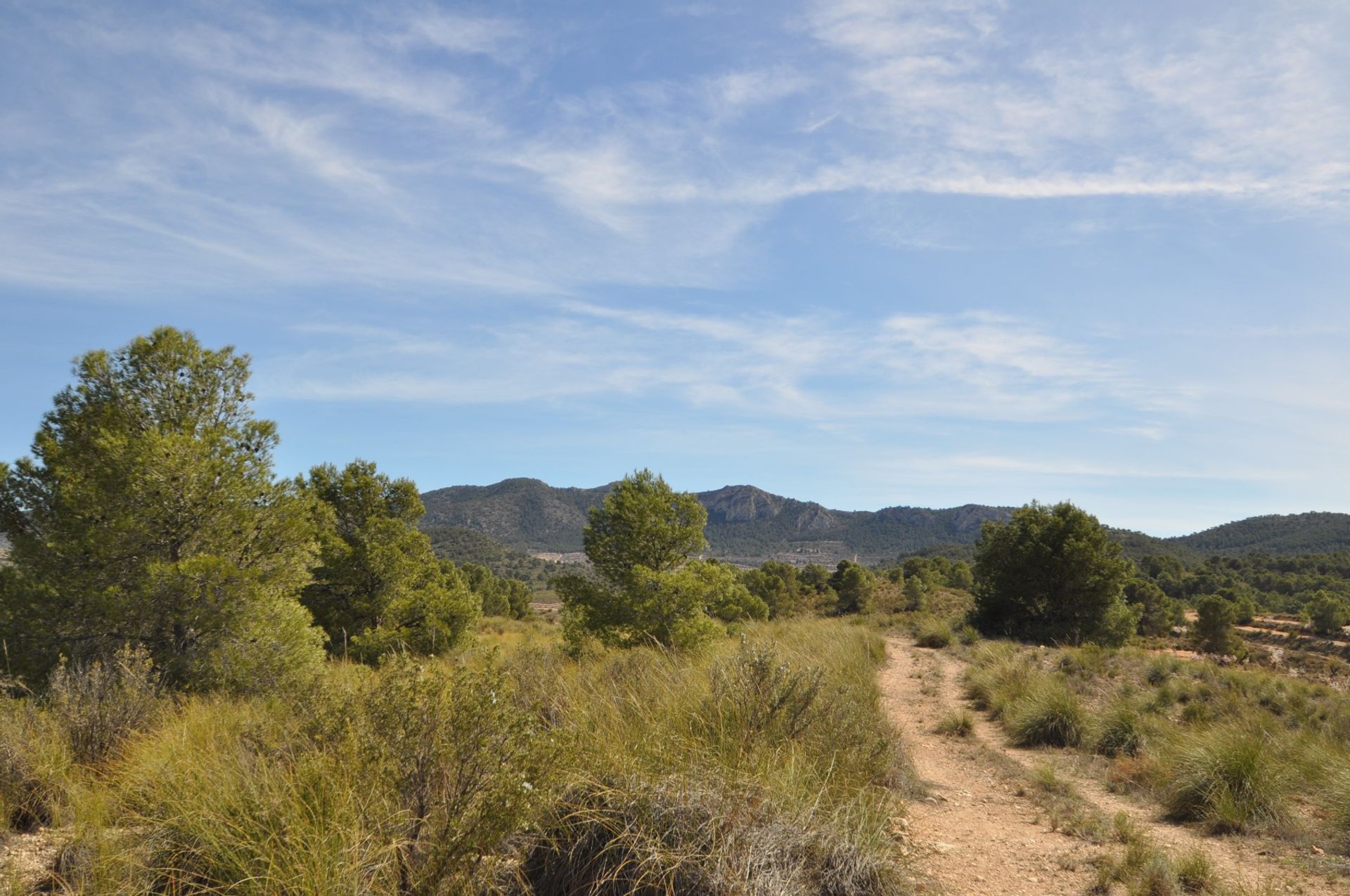 Tierra en La Zarza, Región de Murcia 11064539