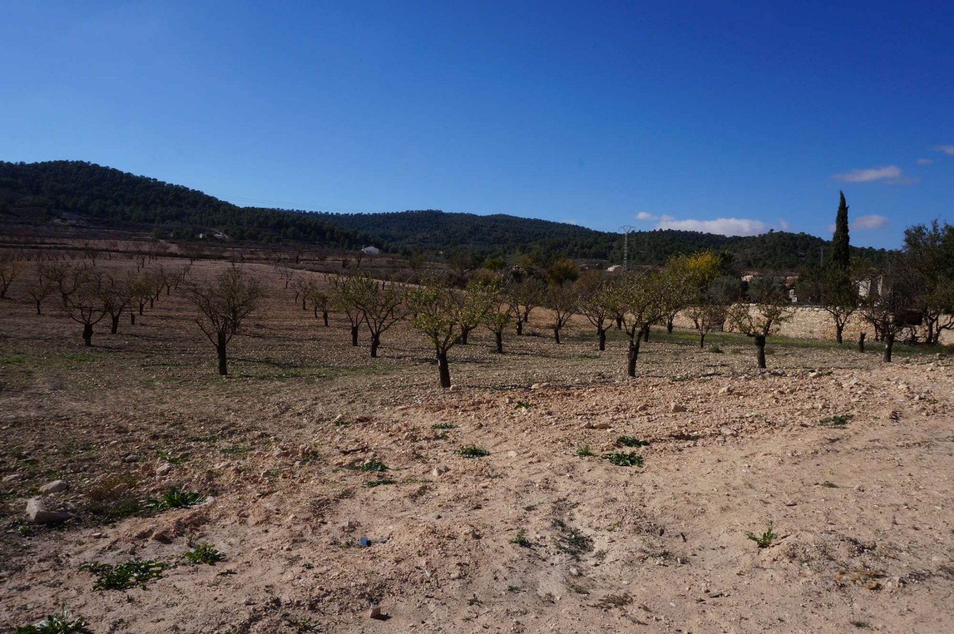 Casa nel , Valencian Community 11064621