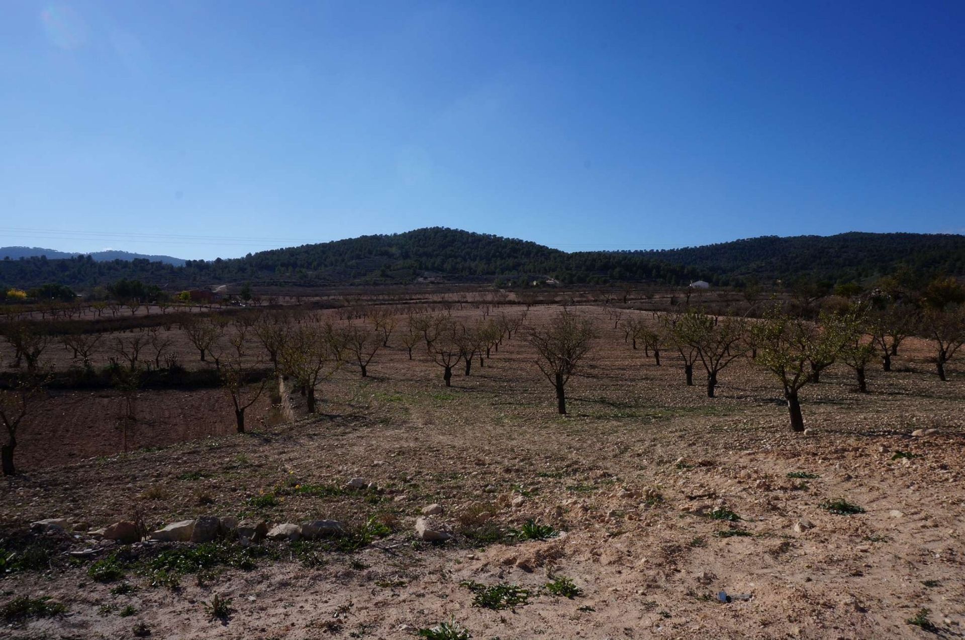 House in , Valencian Community 11064621