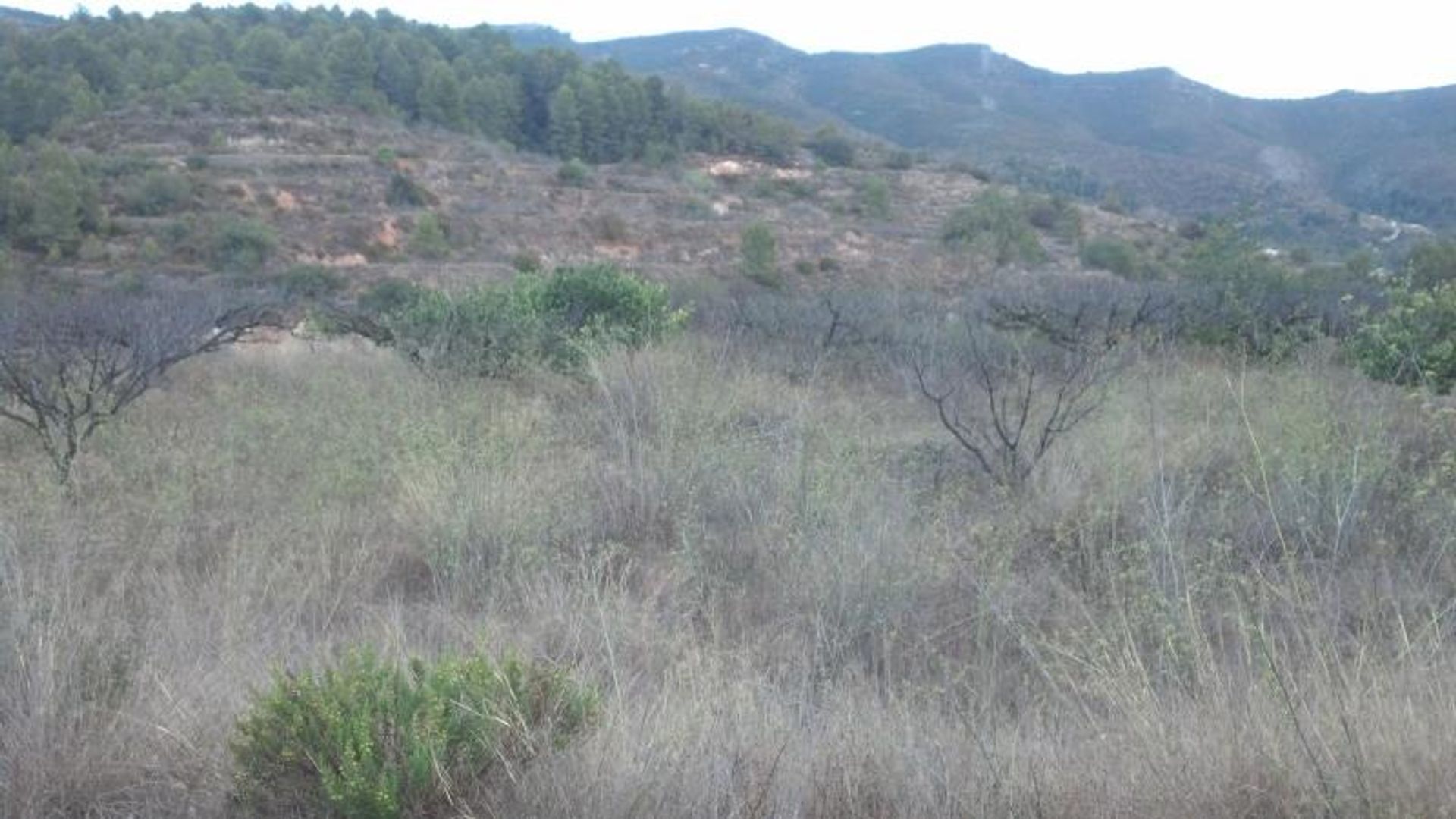 Land i Ciudad Jardin, Valencia 11064631