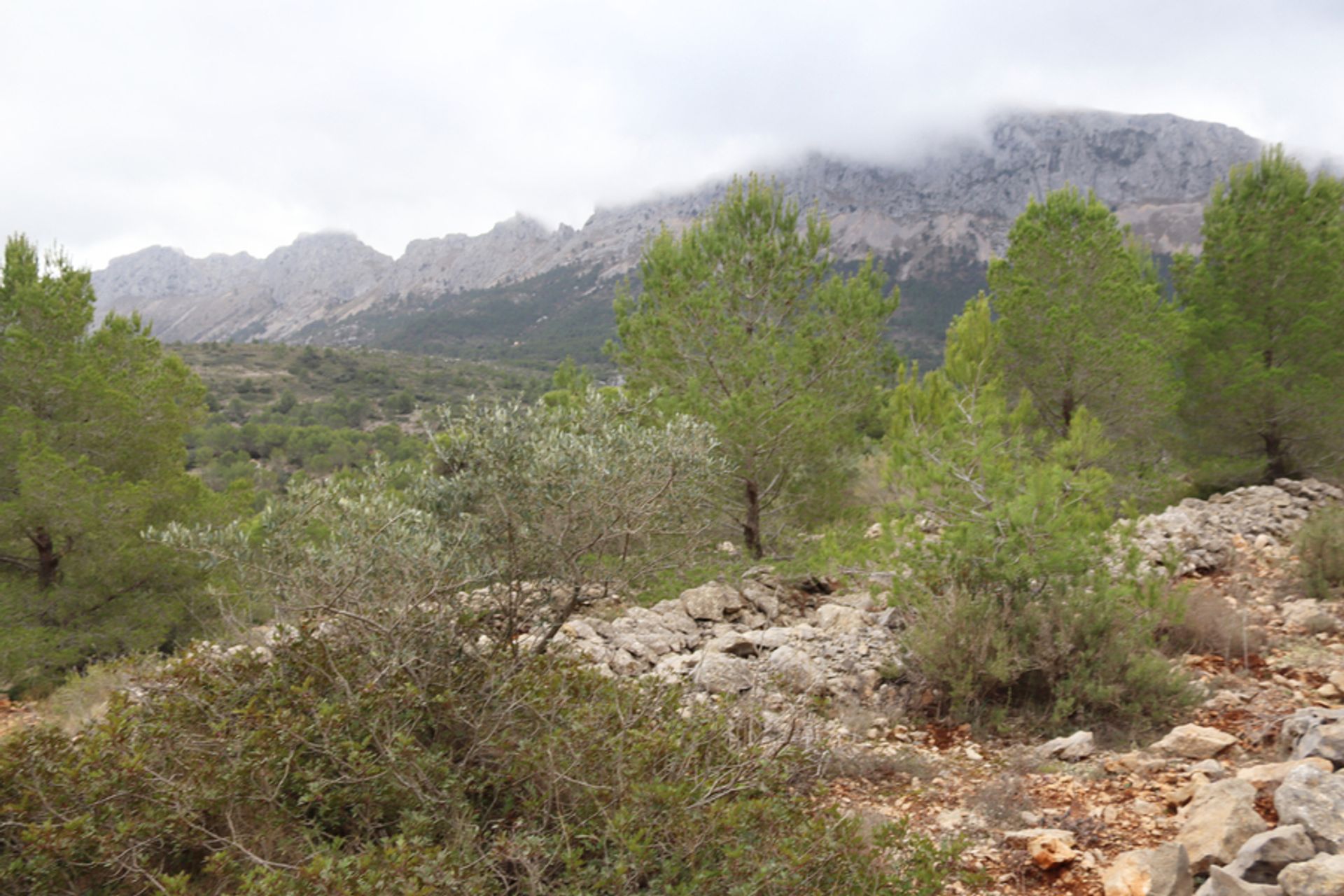 Земля в Xaló, Comunidad Valenciana 11064653