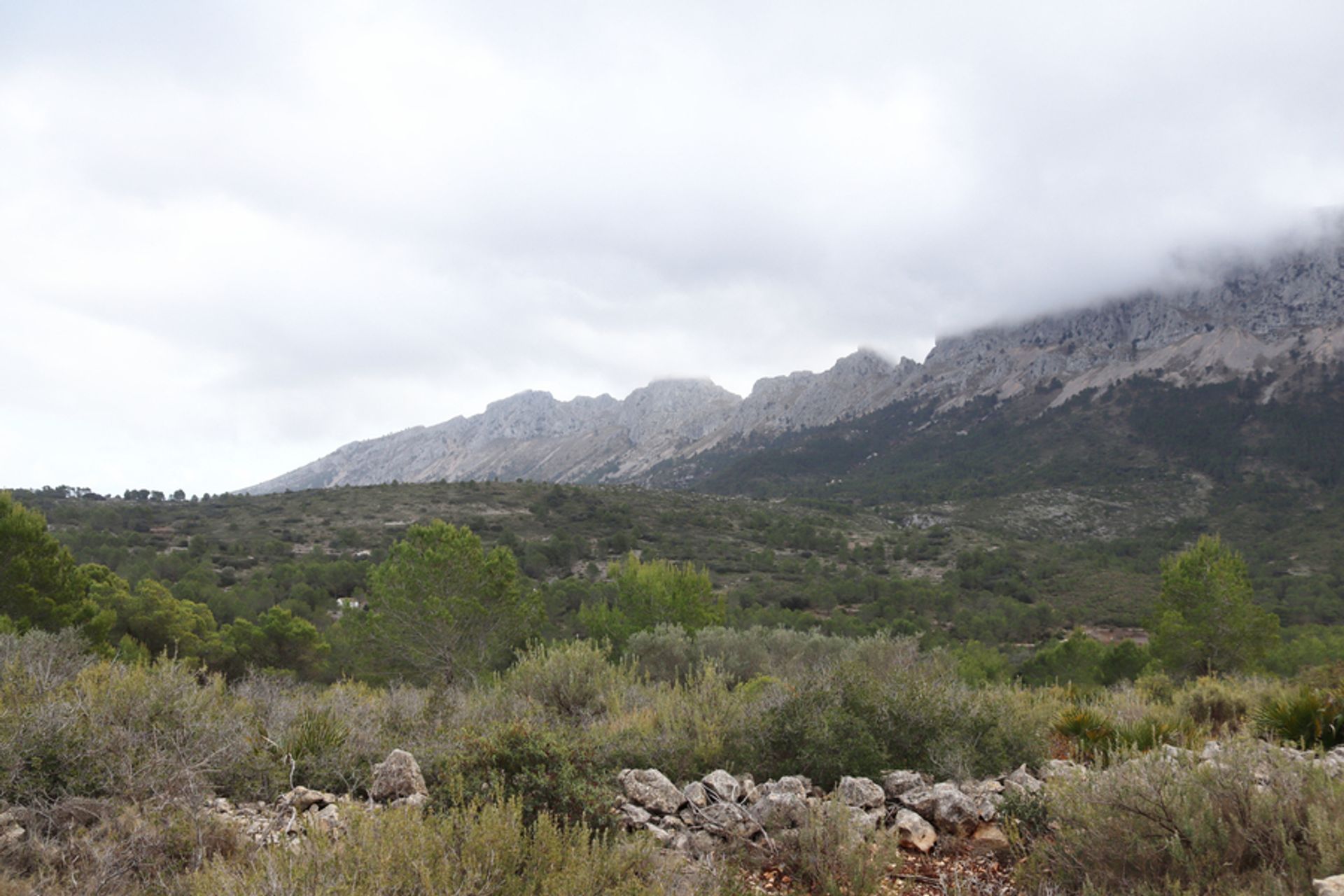 Земля в Xaló, Comunidad Valenciana 11064653