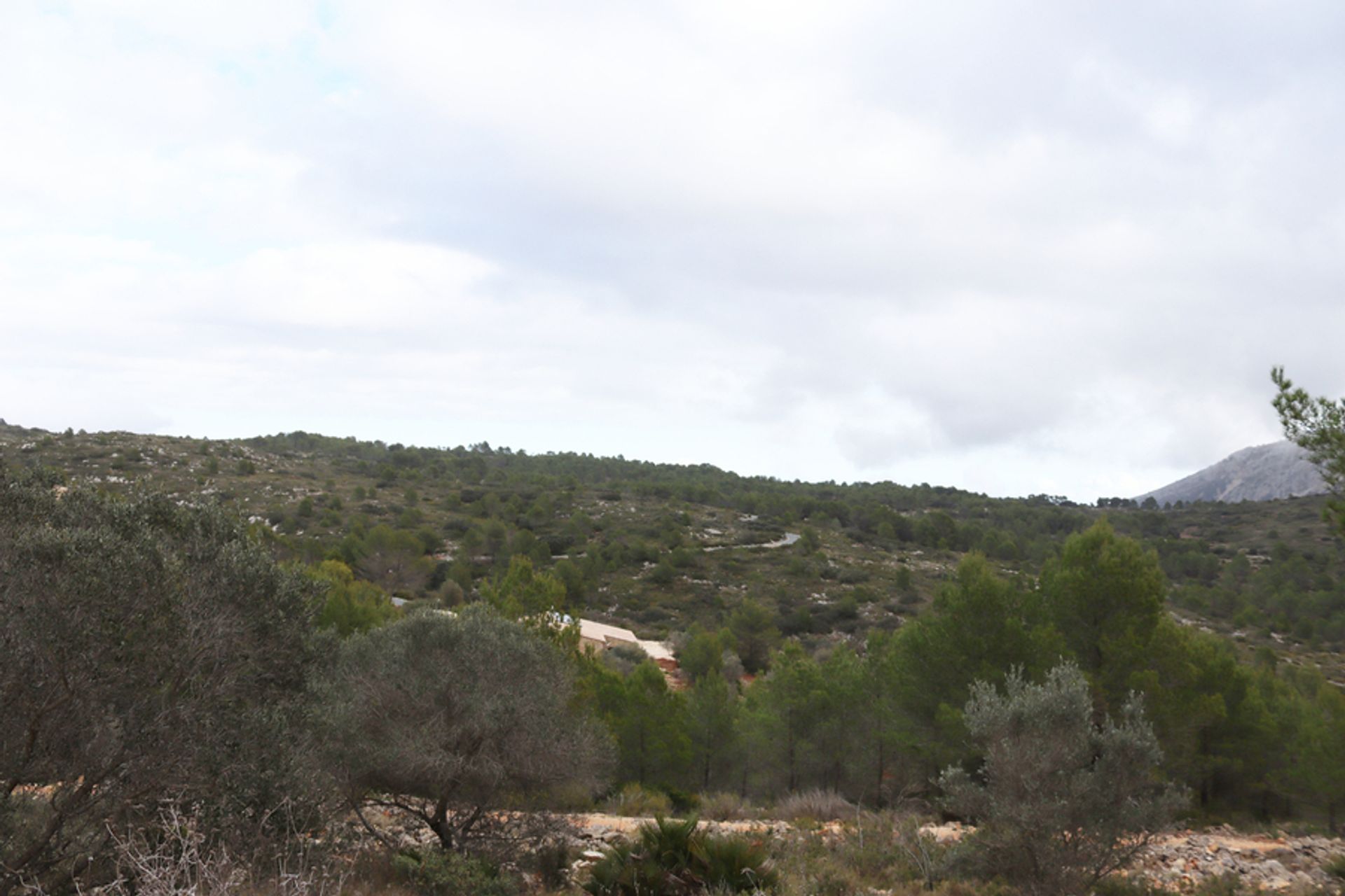 Terre dans Xaló, Comunidad Valenciana 11064653