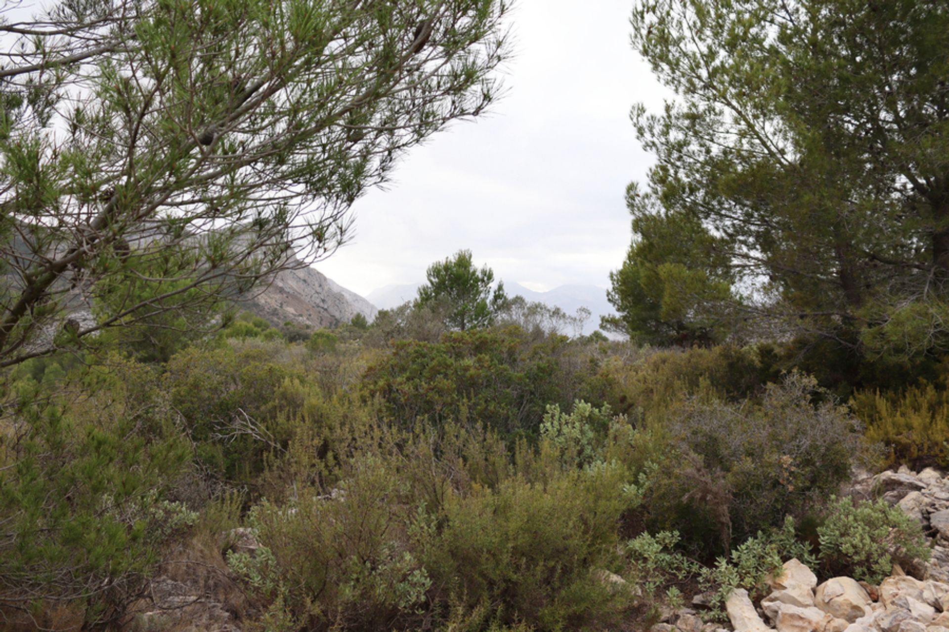 Terre dans Xaló, Comunidad Valenciana 11064653