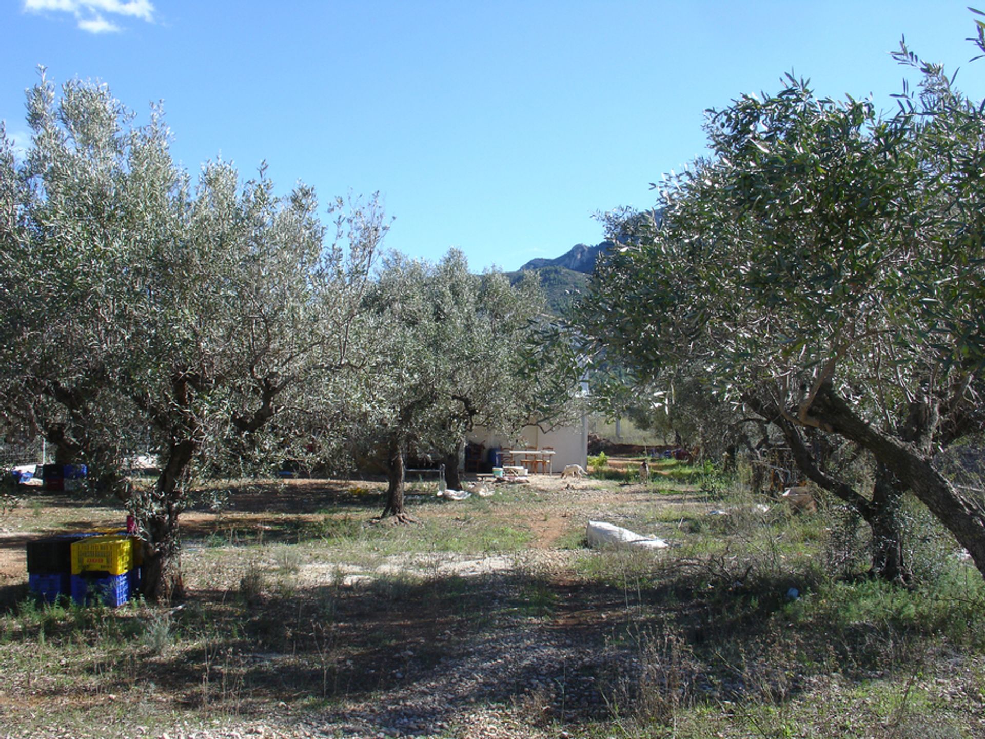 Industriale nel , Comunidad Valenciana 11064655