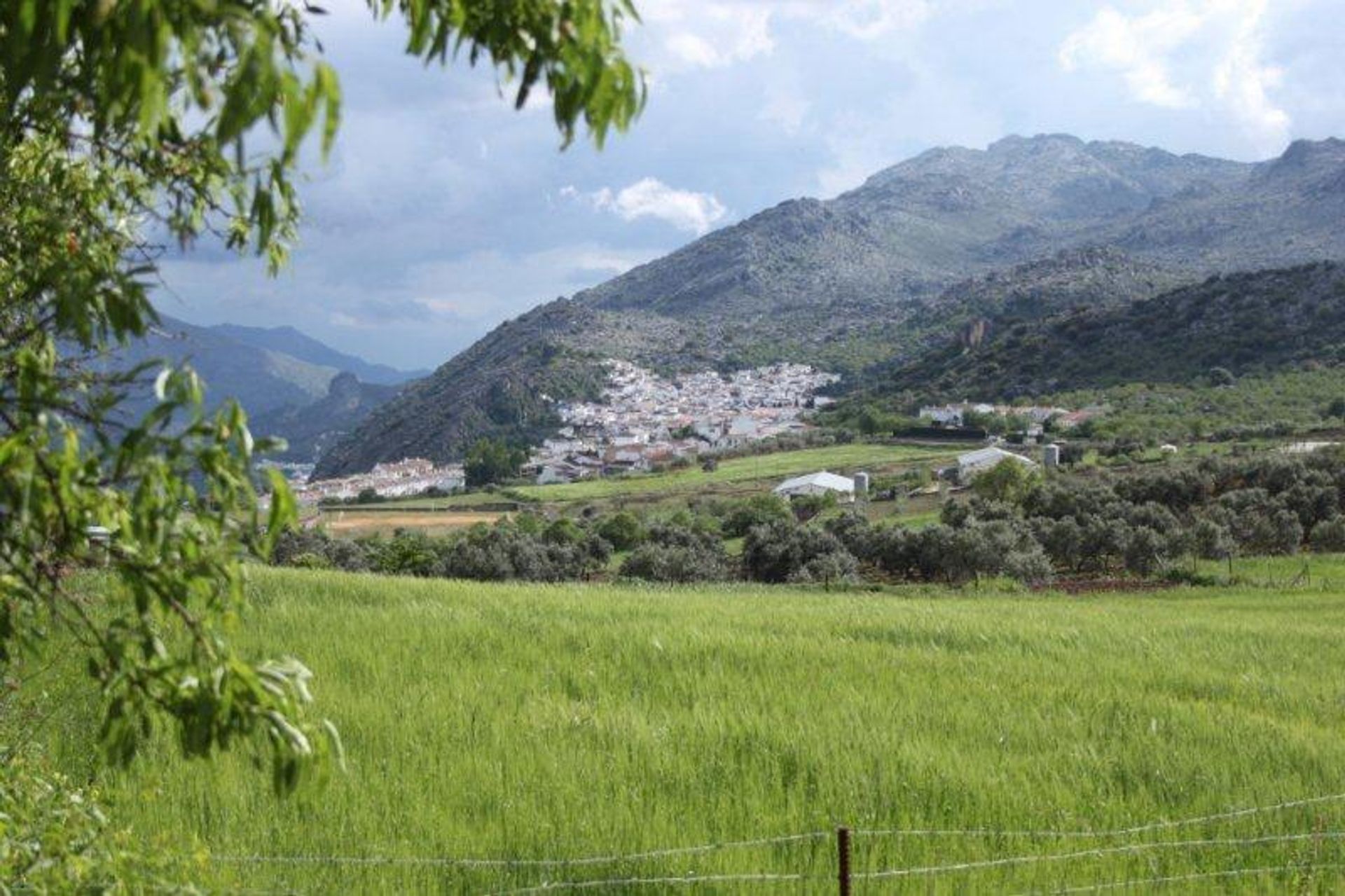 Haus im Montejaque, Andalucía 11064702