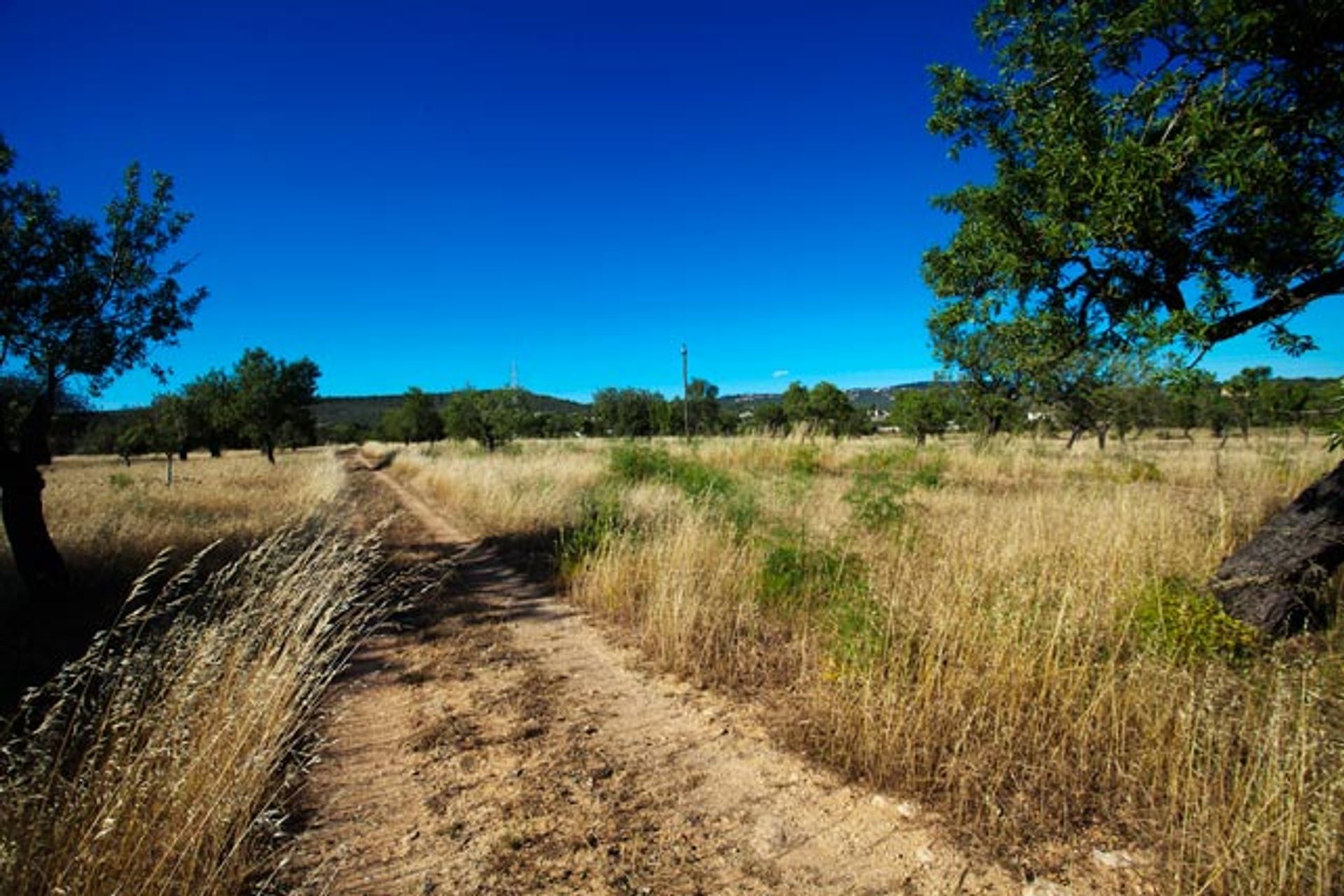 σπίτι σε Puntiró, Illes Balears 11064720