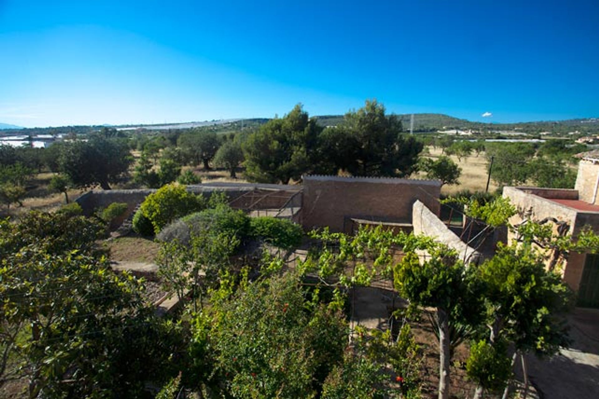 House in Puntiró, Illes Balears 11064720