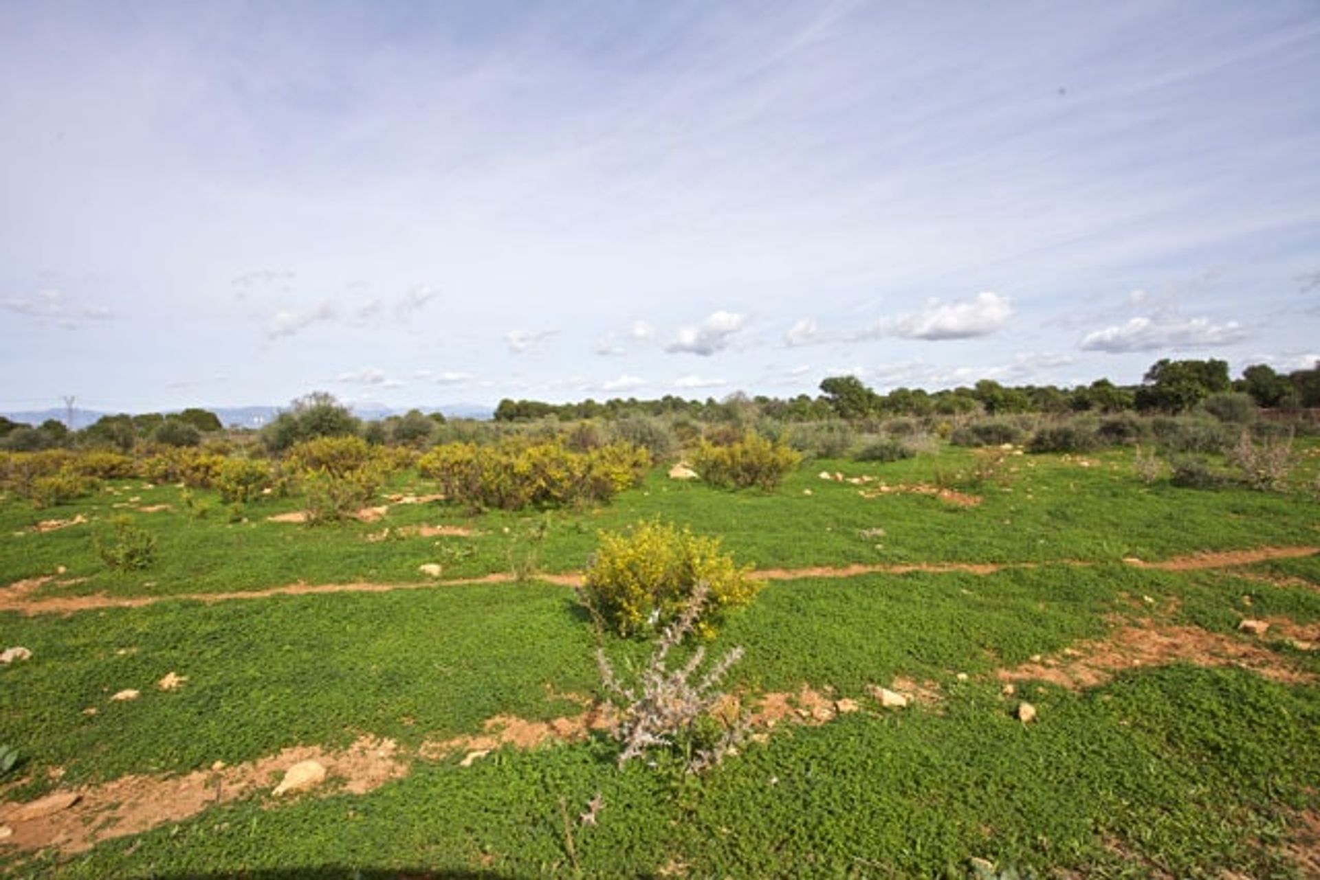 Hus i El Arenal, Baleariske Øer 11064726