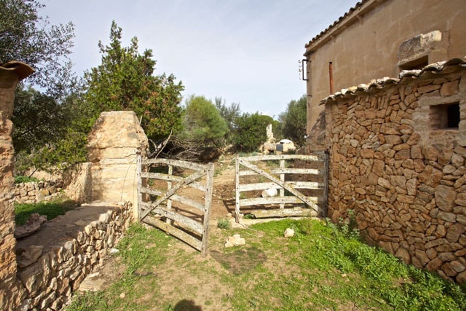 Hus i Llucmajor, Illes Balears 11064726