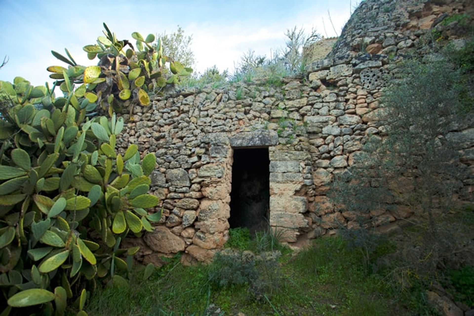 Rumah di Santa Eugenia, Pulau Balearic 11064728