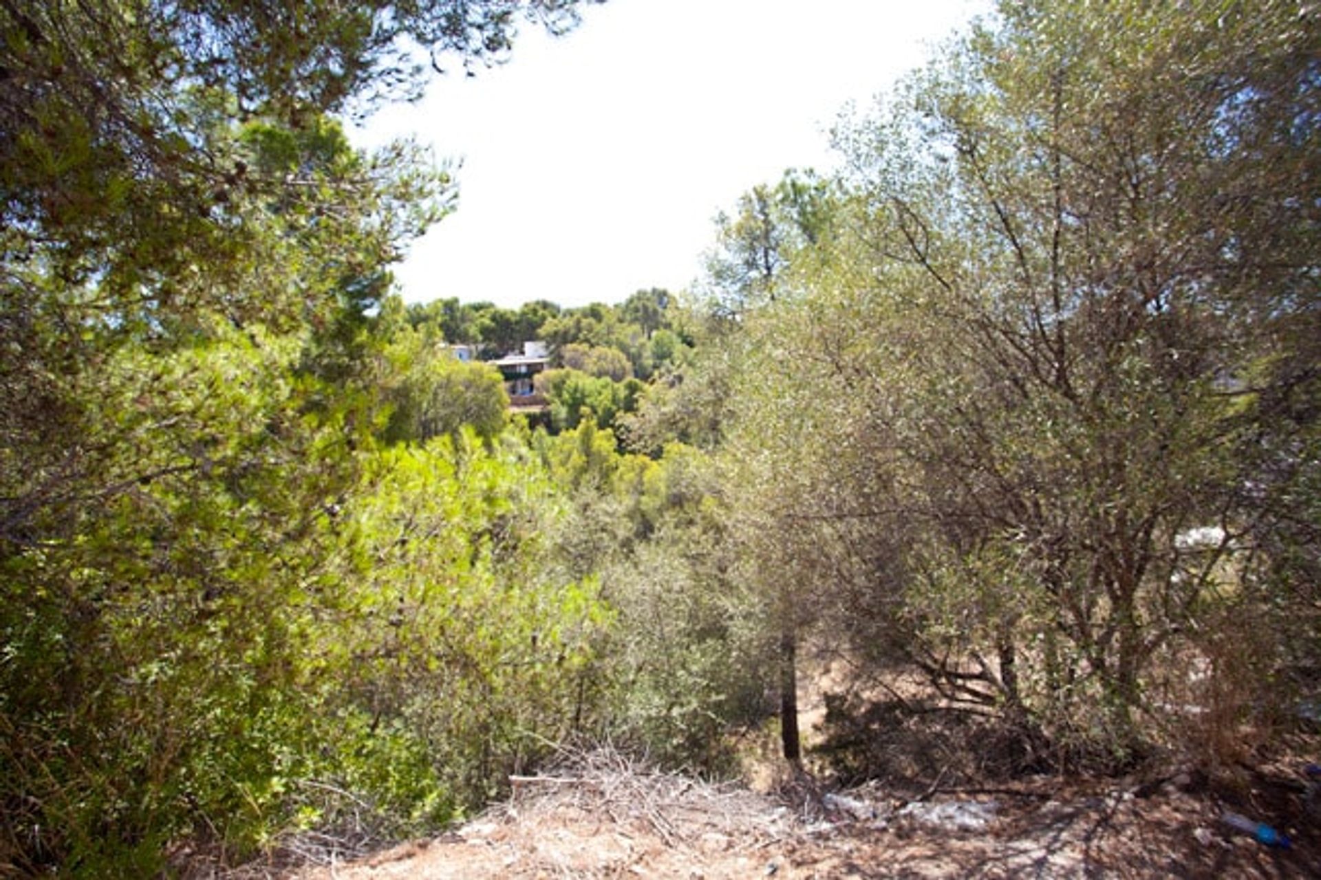 Land in La Bonanova, Balearic Islands 11064731