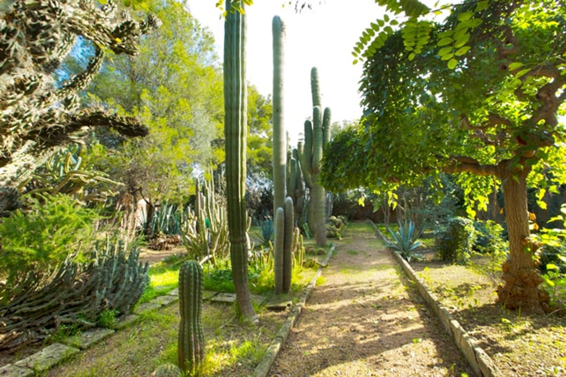 rumah dalam Pont d'Inca, Kepulauan Balearic 11064734