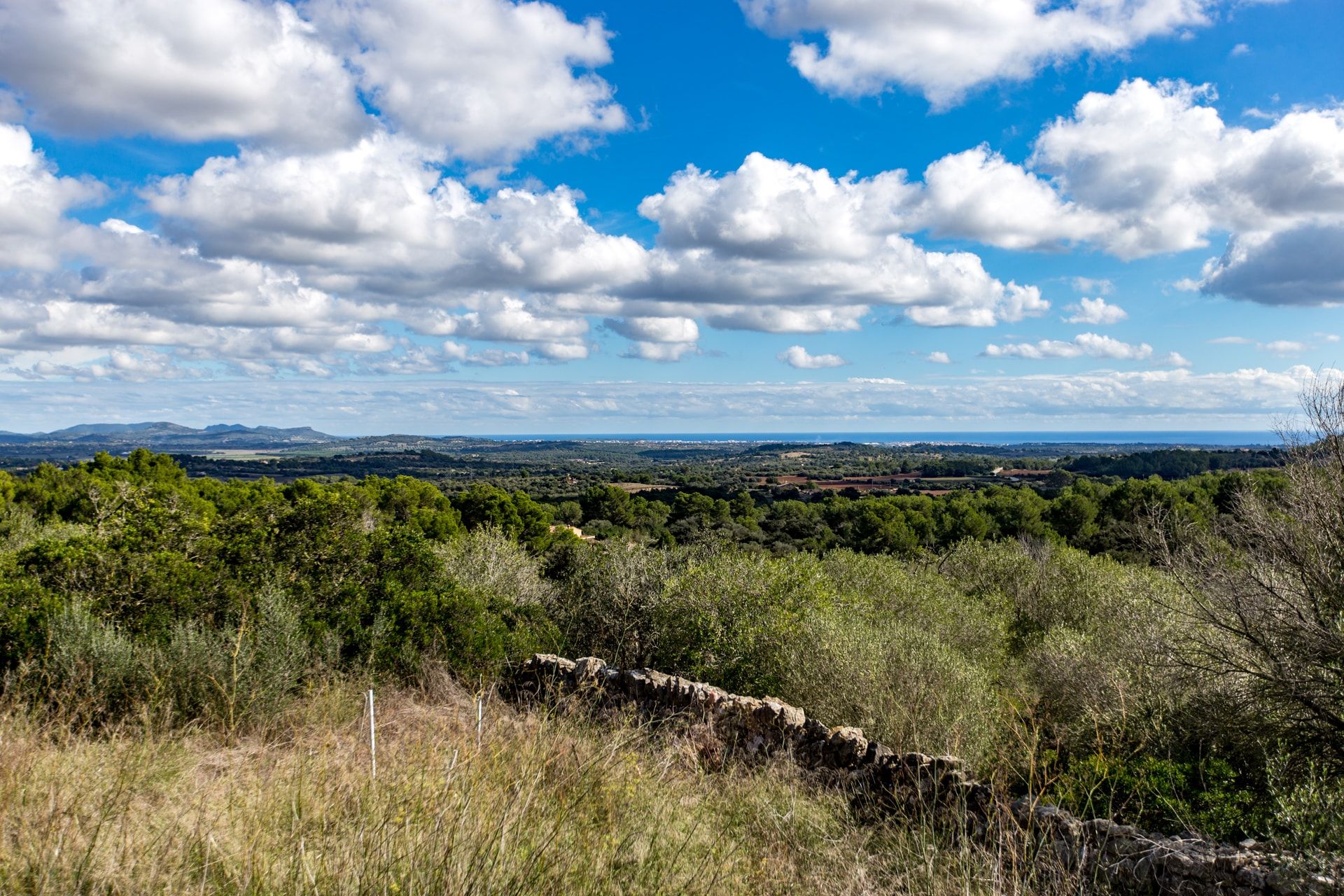 Land in Manacor, De Balearen 11064746